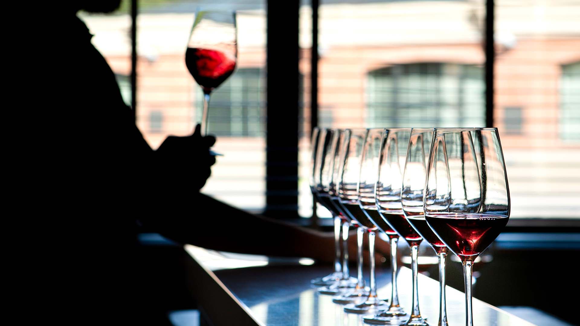 Tour Chianti Classico con degustazioni e pranzo alla cantina Antinori