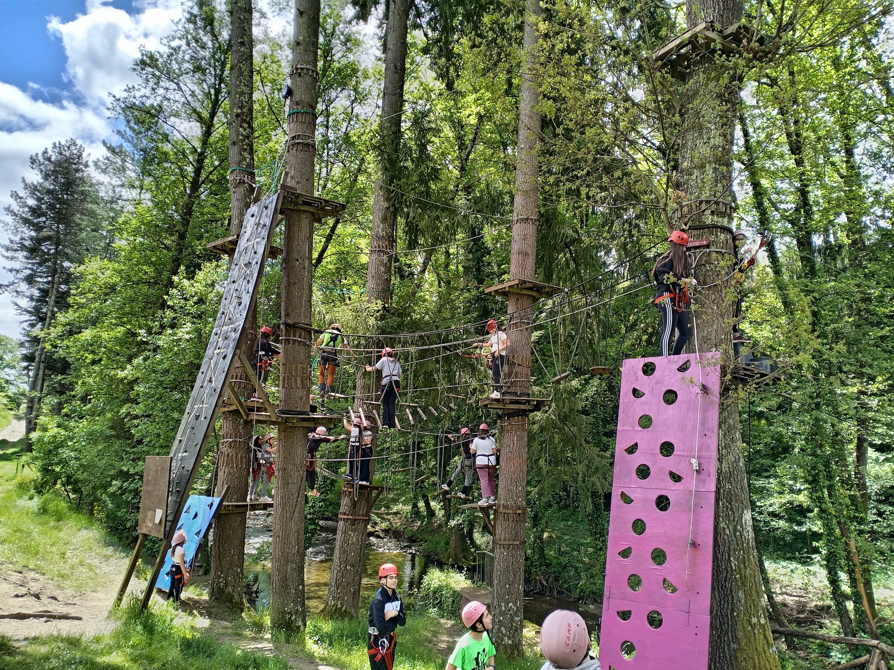 Forest adventure team building in Stia for groups