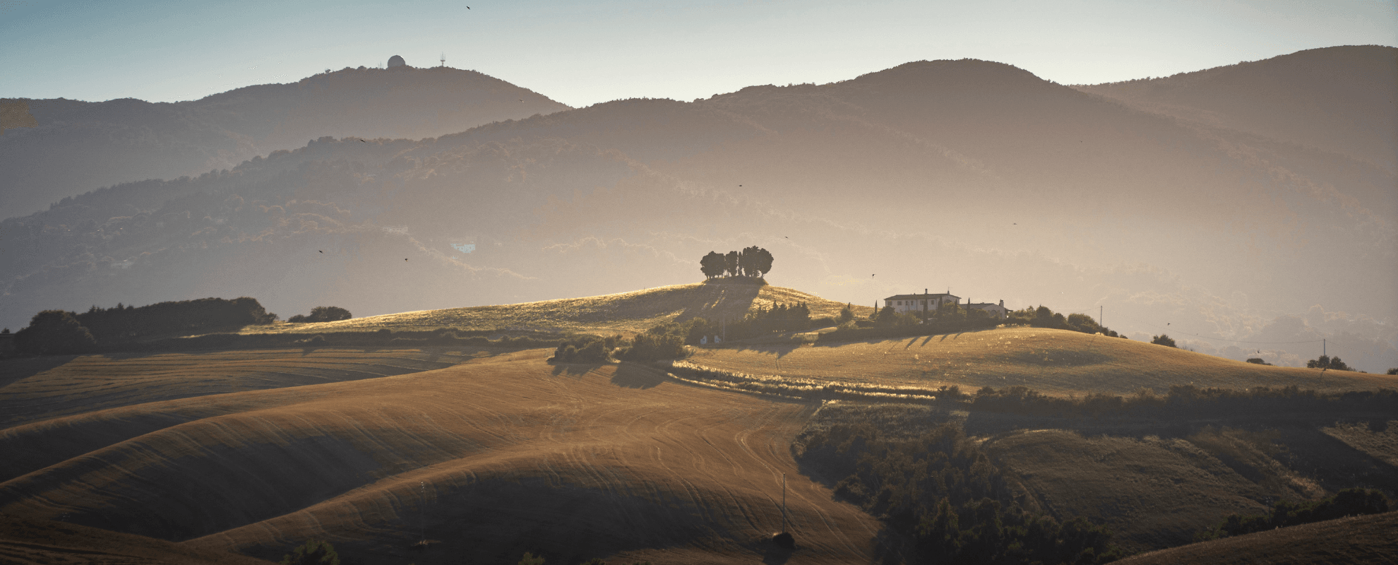 Colle Pinzuti – Fauglia