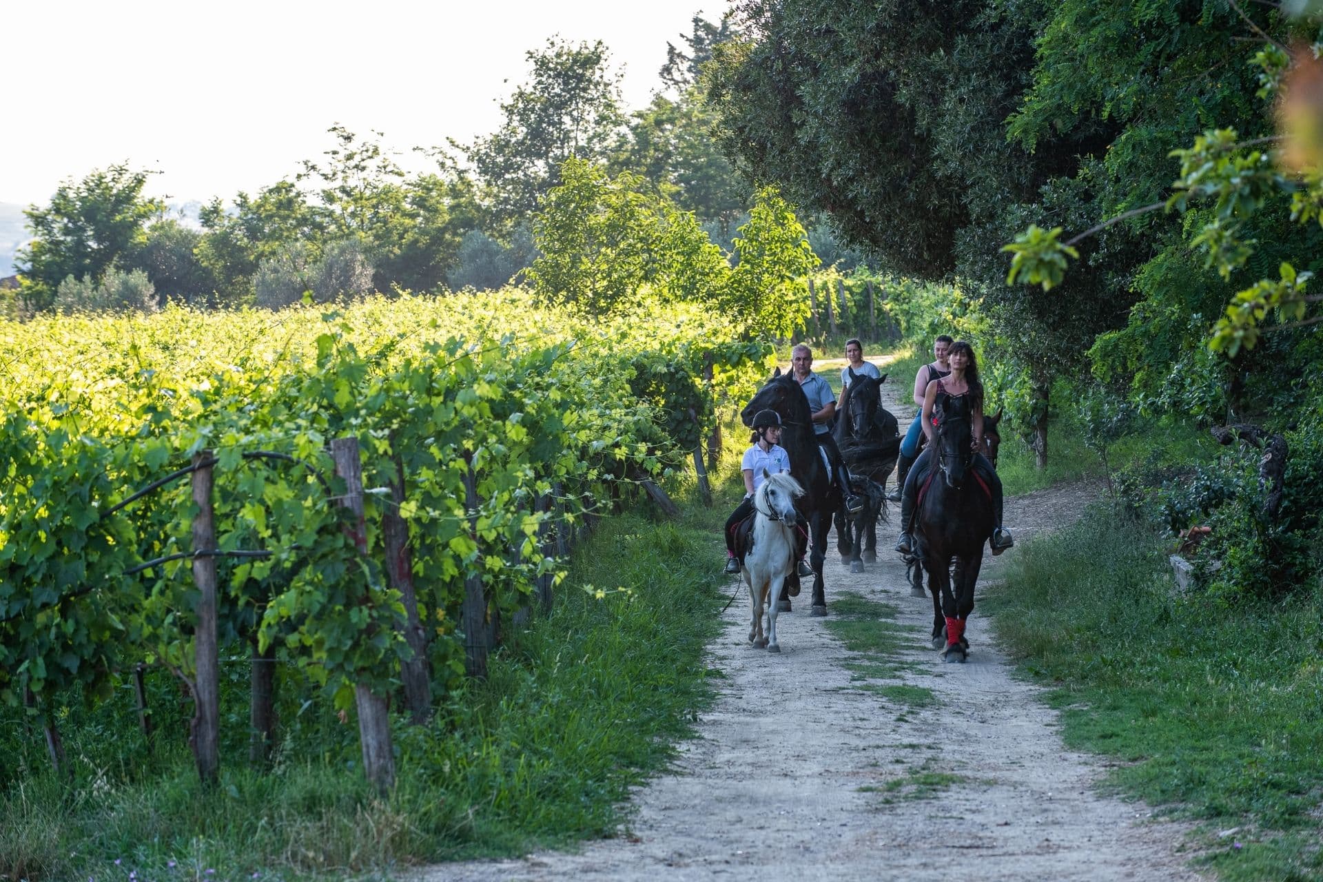 Circular route to discover the paths and legends of the Valdichiana, a territory in the heart of Tuscany.
