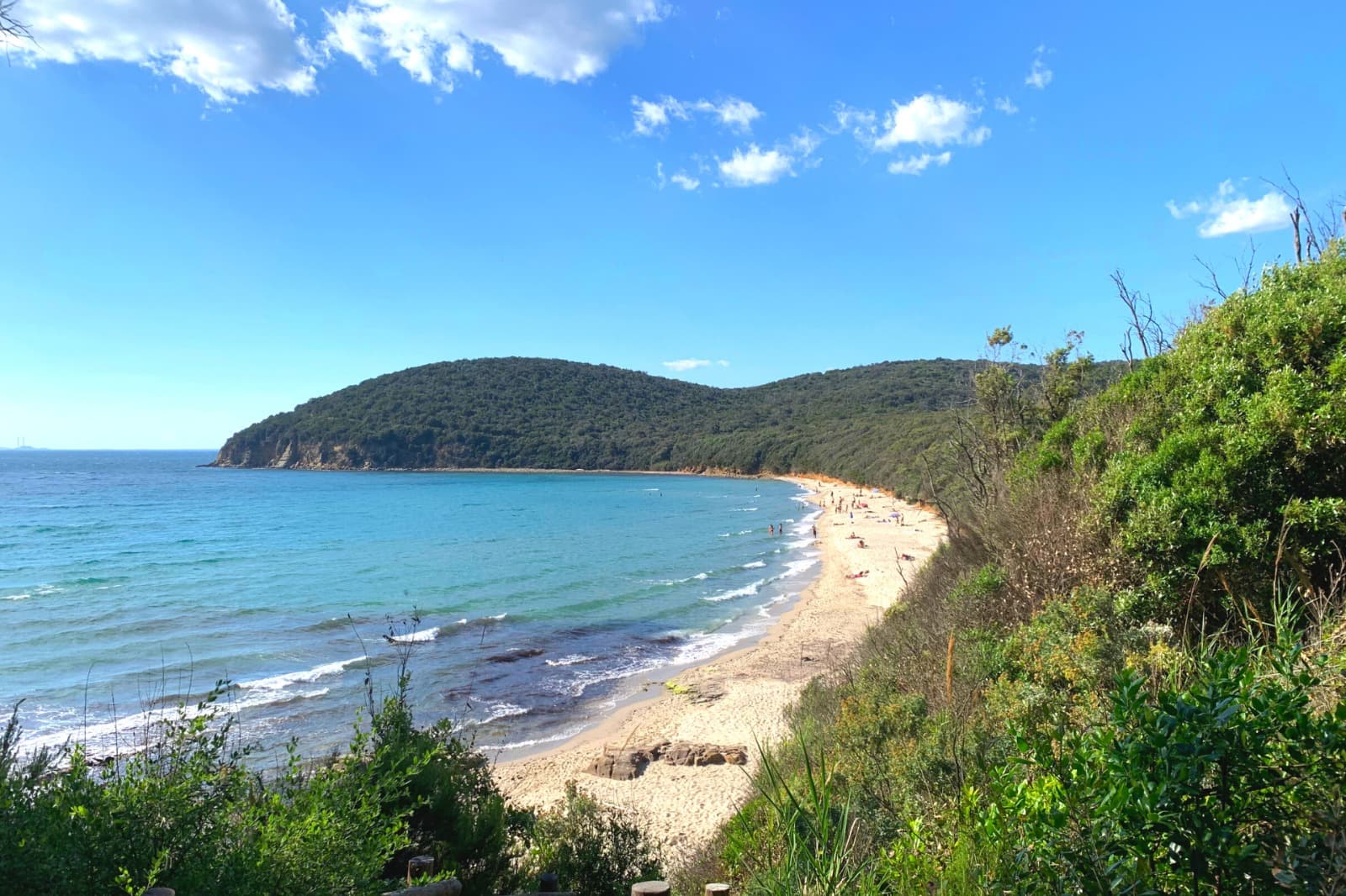 cala-violina-scarlino