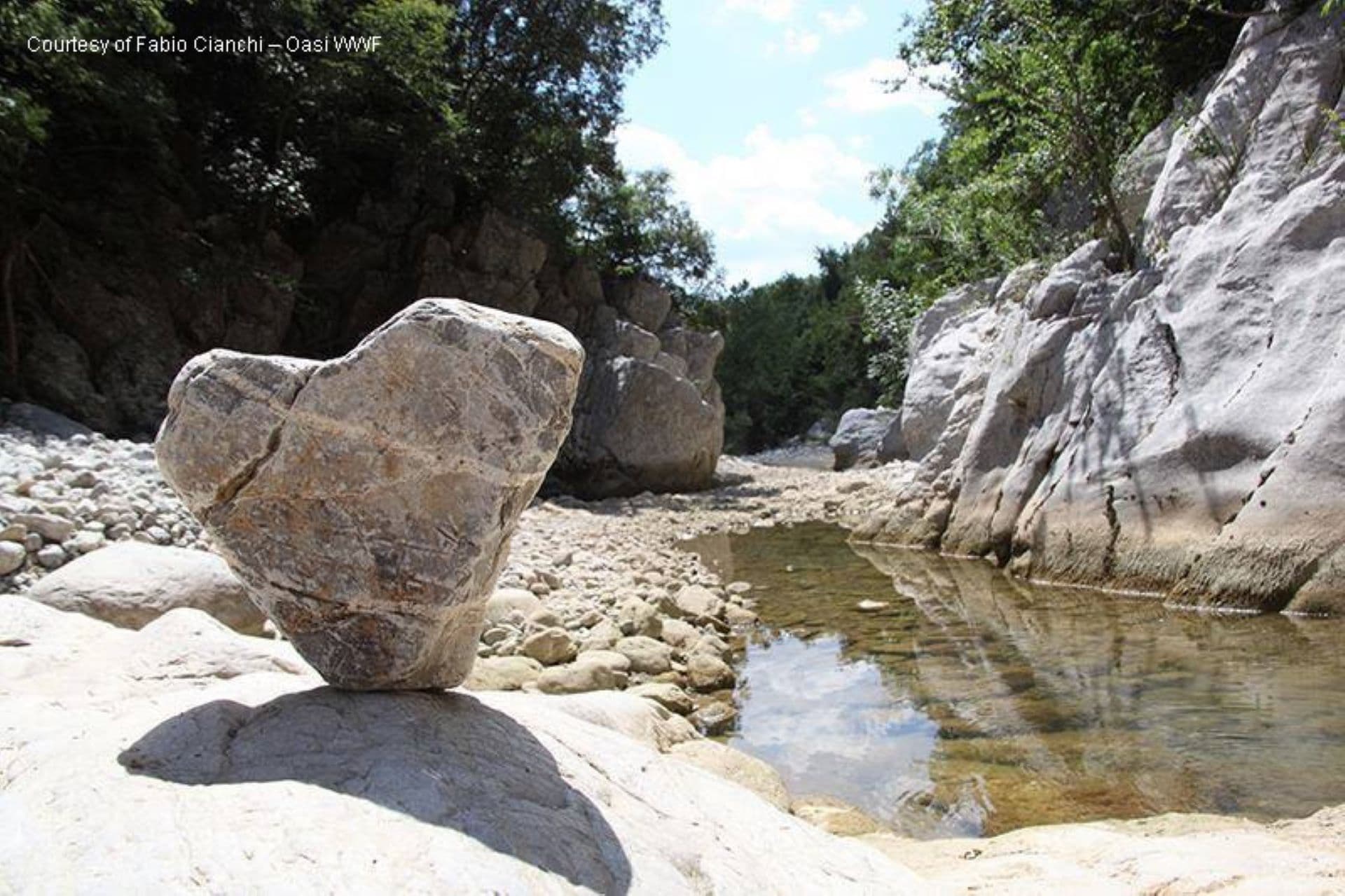 Bosque Rocconi, Montaña Amiata en Toscana