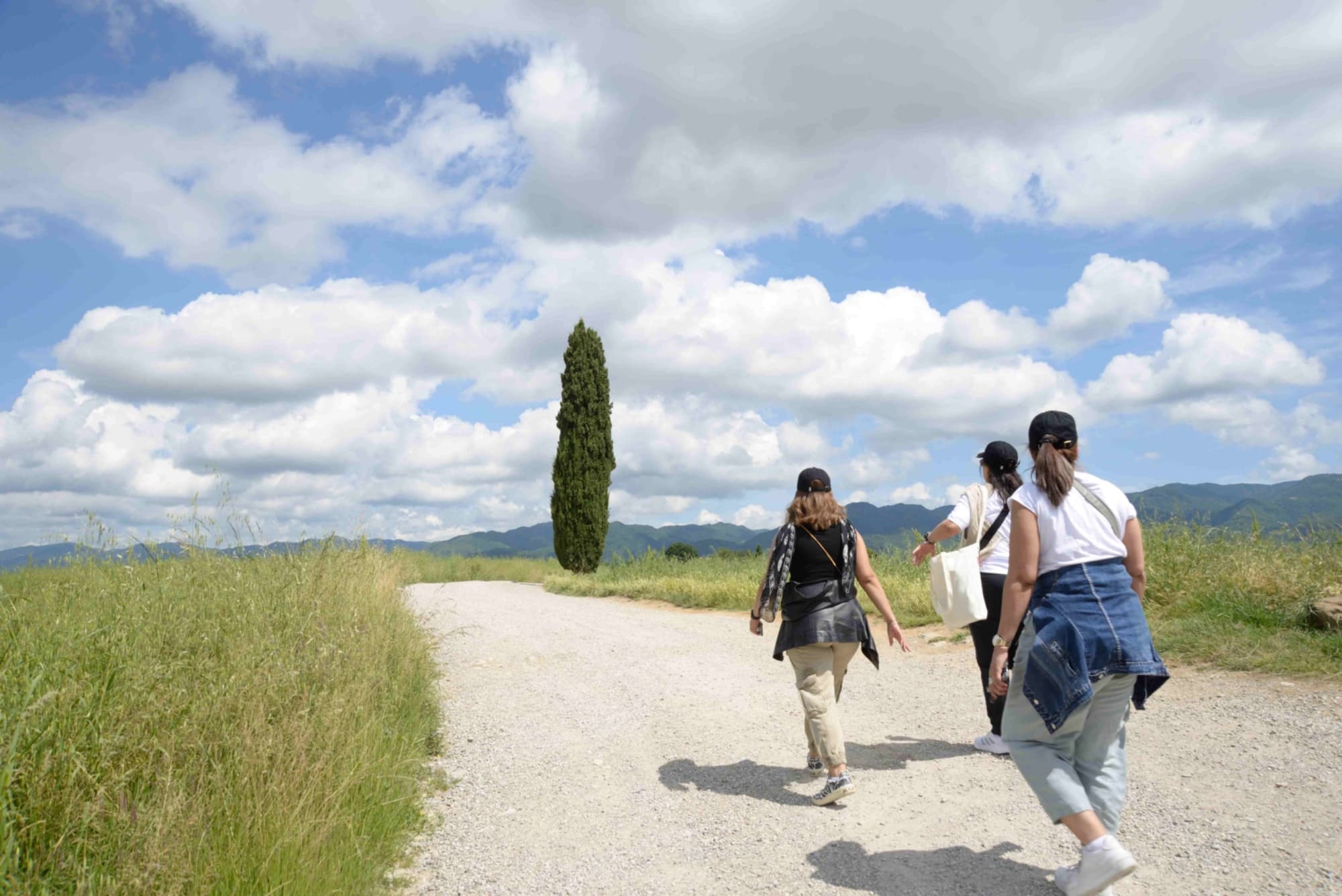 Hike & wine tour in Mugello