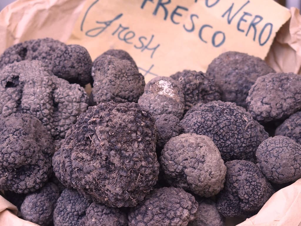 Tartufi e sapori di Caprese Michelangelo in Valtiberina