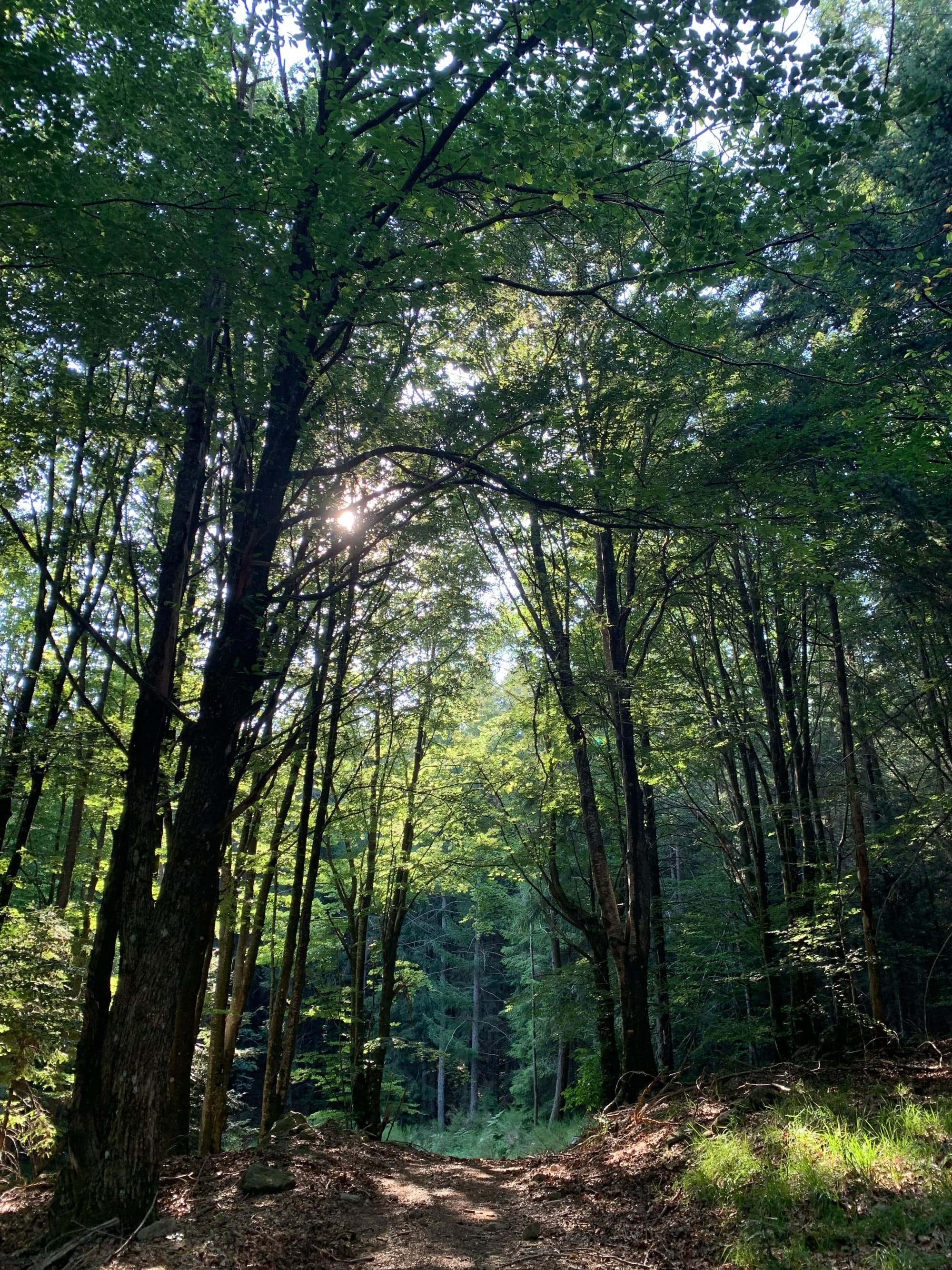 Trekking di 2 giorni sul Monte Amiata