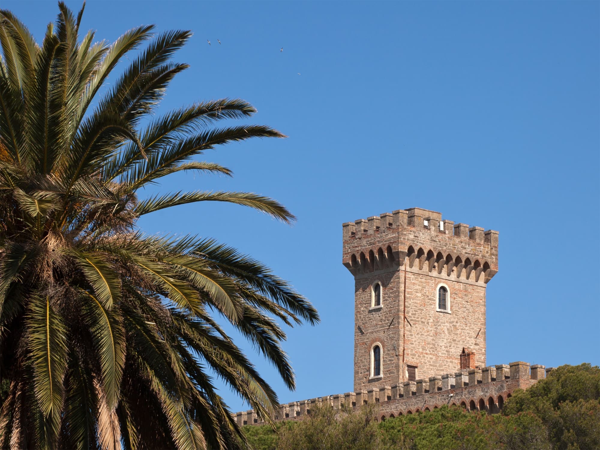 Château de Bolgheri