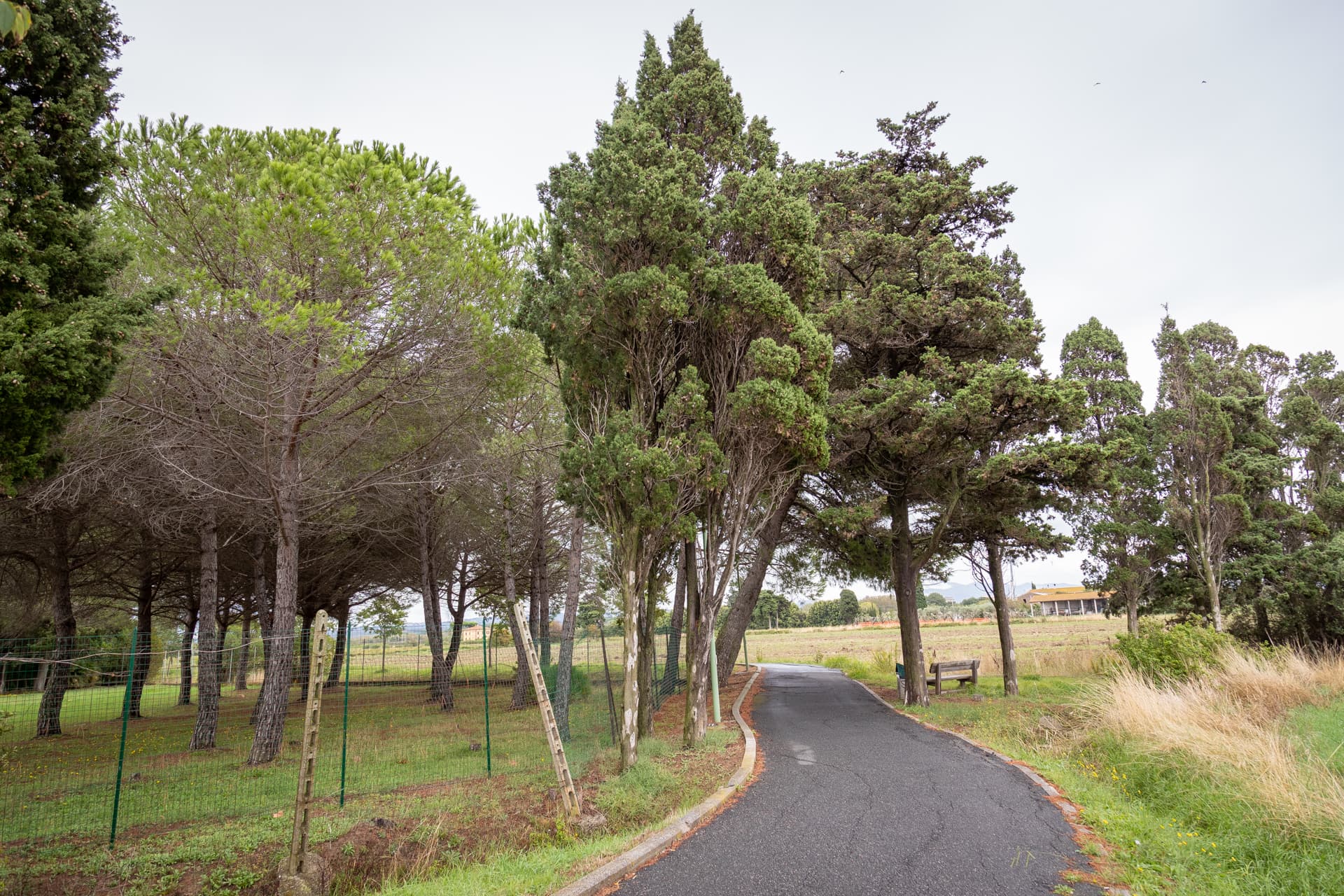 Itinerario en bici en la Costa Etrusca