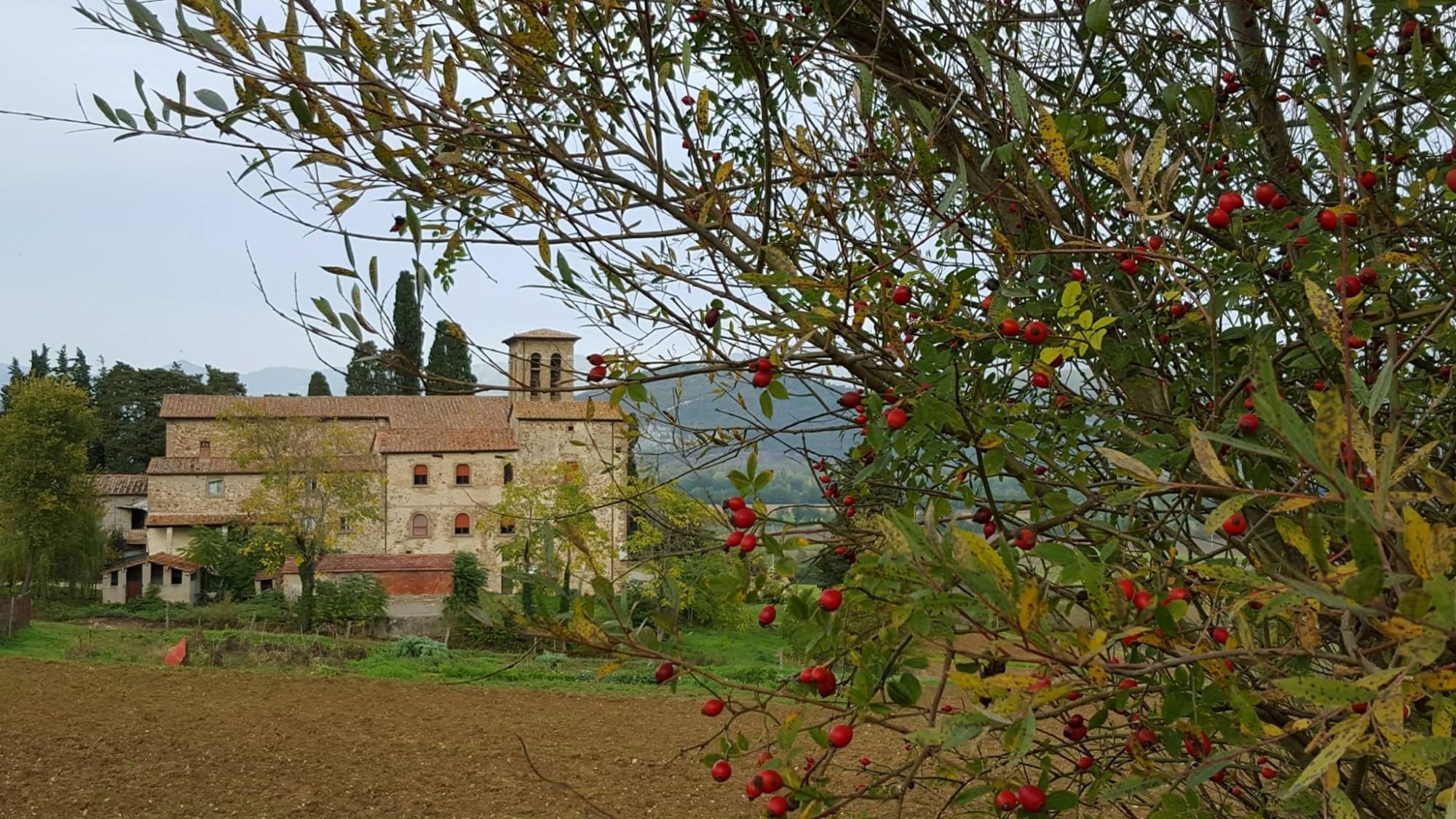 Pieve di Santa Maria a Micciano