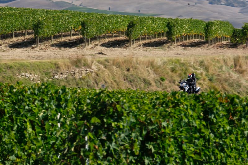 Vigneti lungo la Chiantigiana