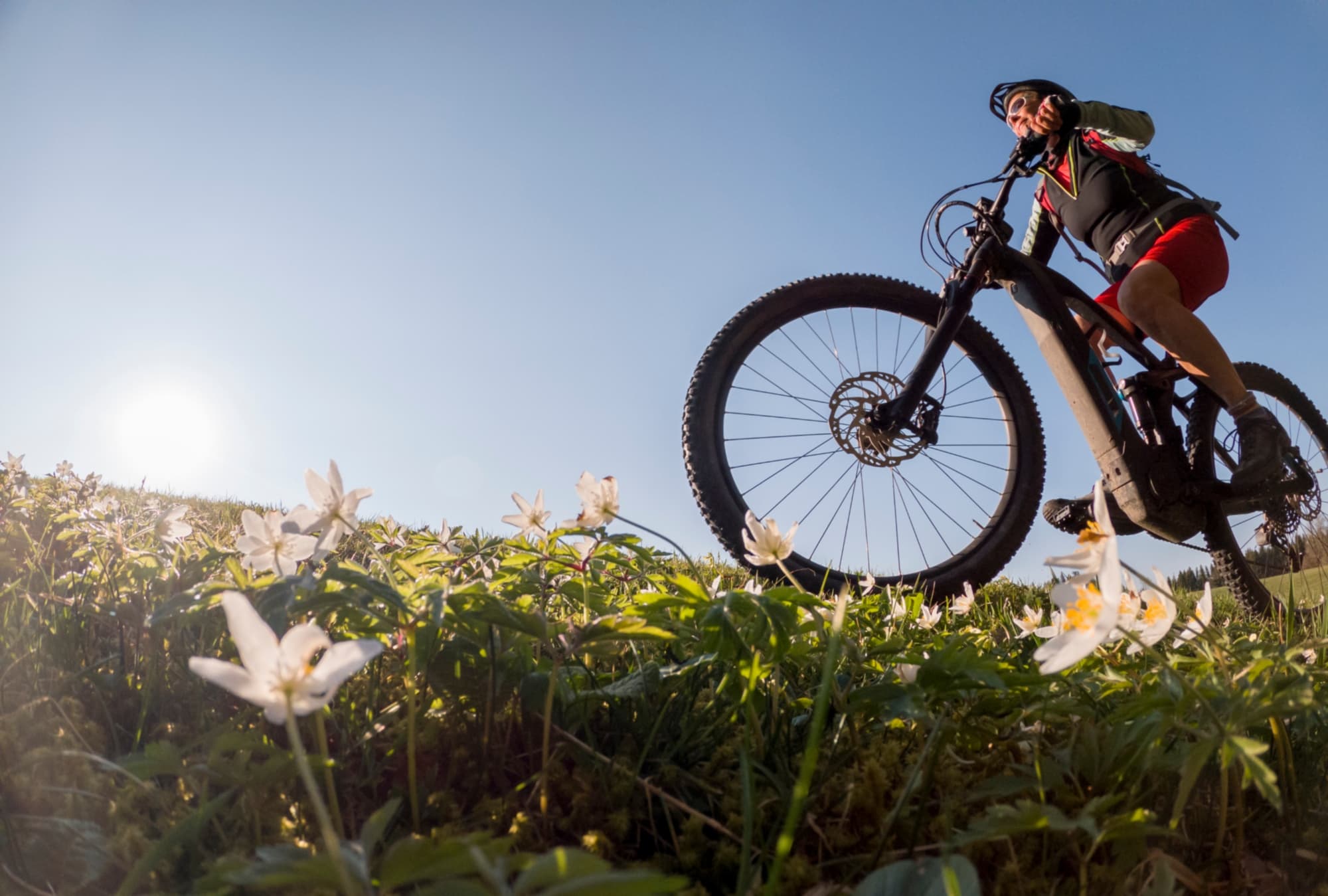 Tra i castagni della valle dell'Ombrone in MTB