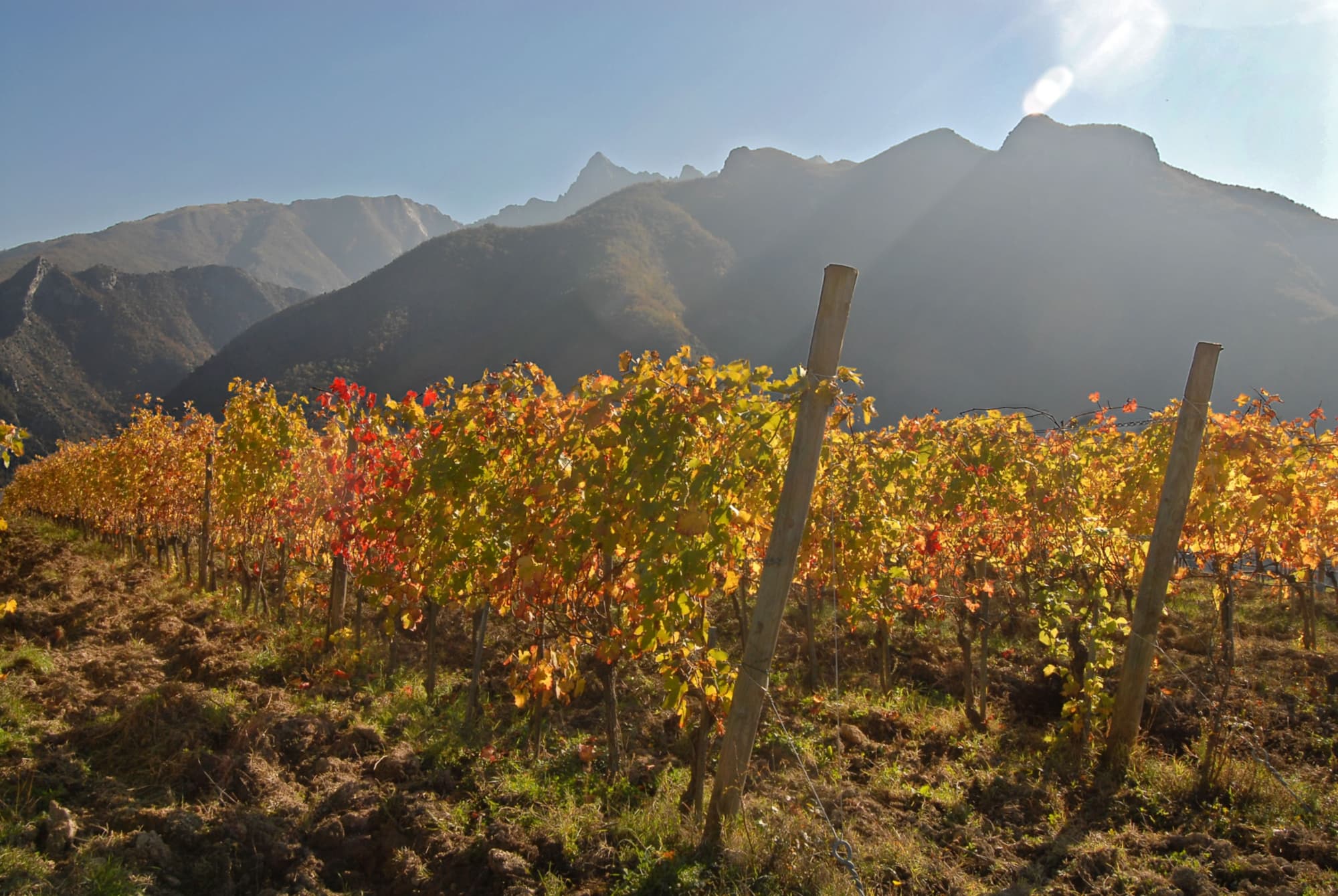 monte-dei-bianchi-vigneti-apuane.jpg
