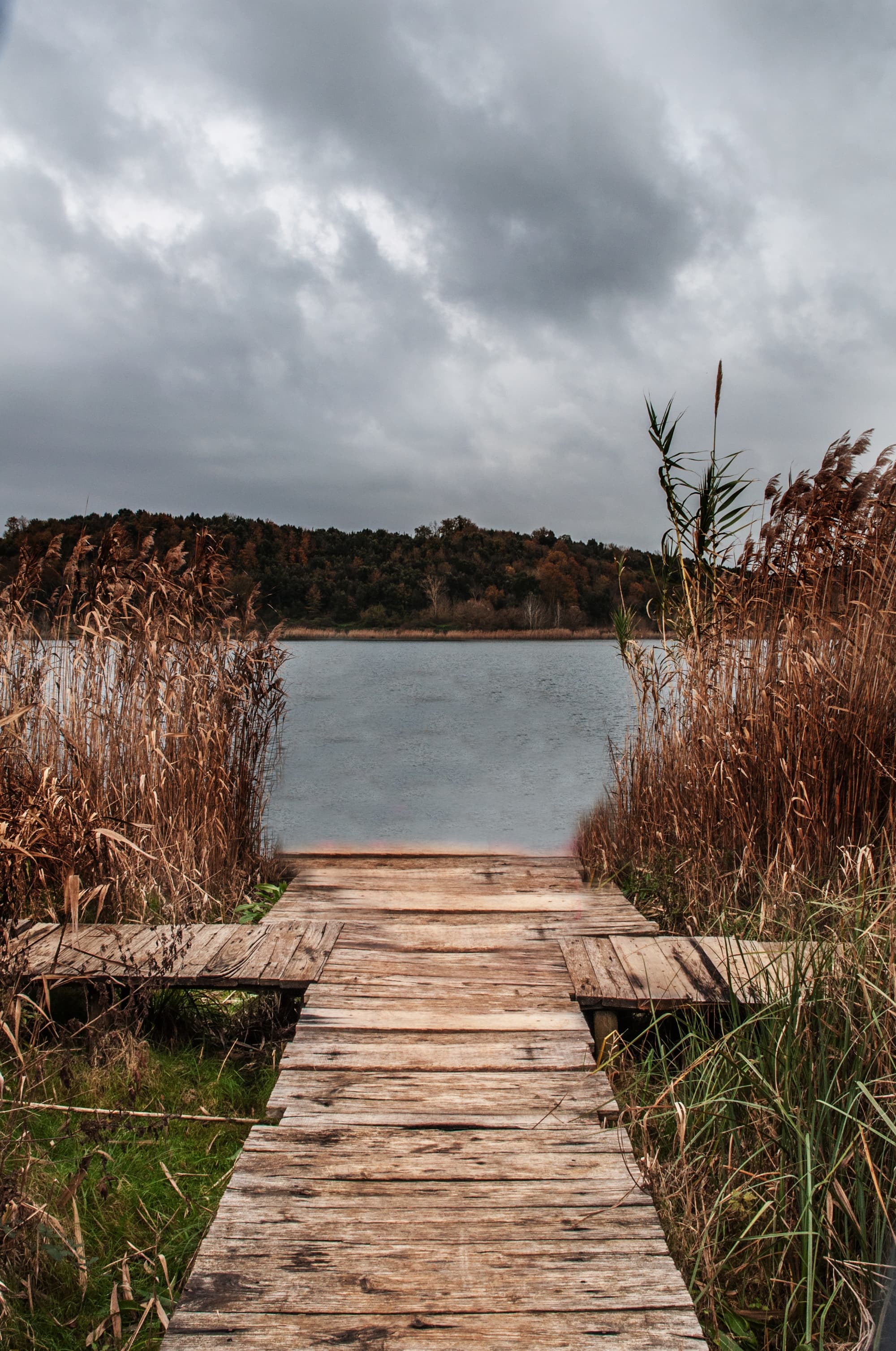 Trail sportivo dal Lago dell'Accesa a Massa Marittima