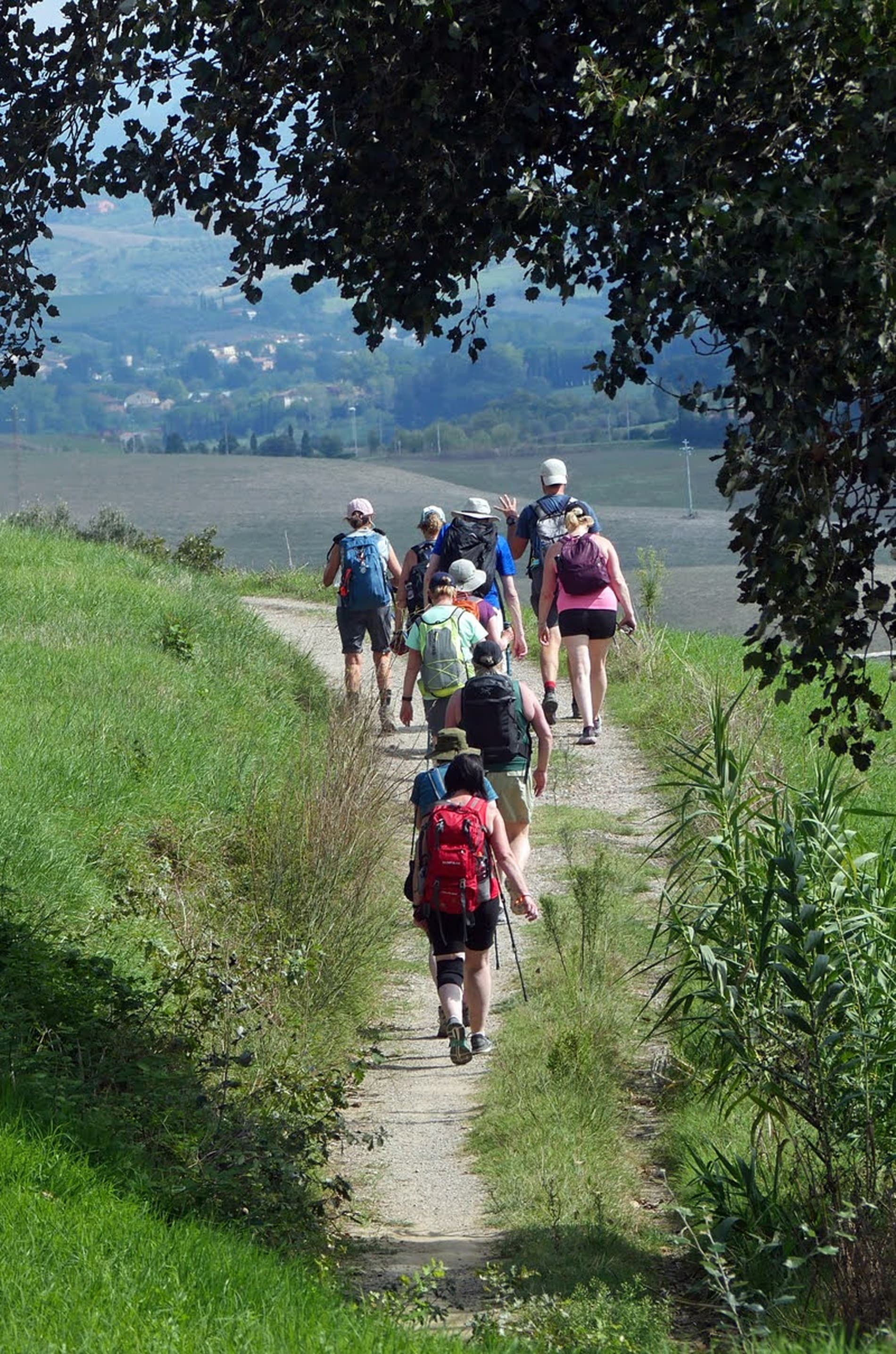 Via Francigena da Lucca a Siena con guida