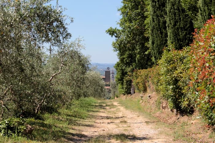 La “Strada Verde” di Vinci rinnovata per rivivere i luoghi di Leonardo