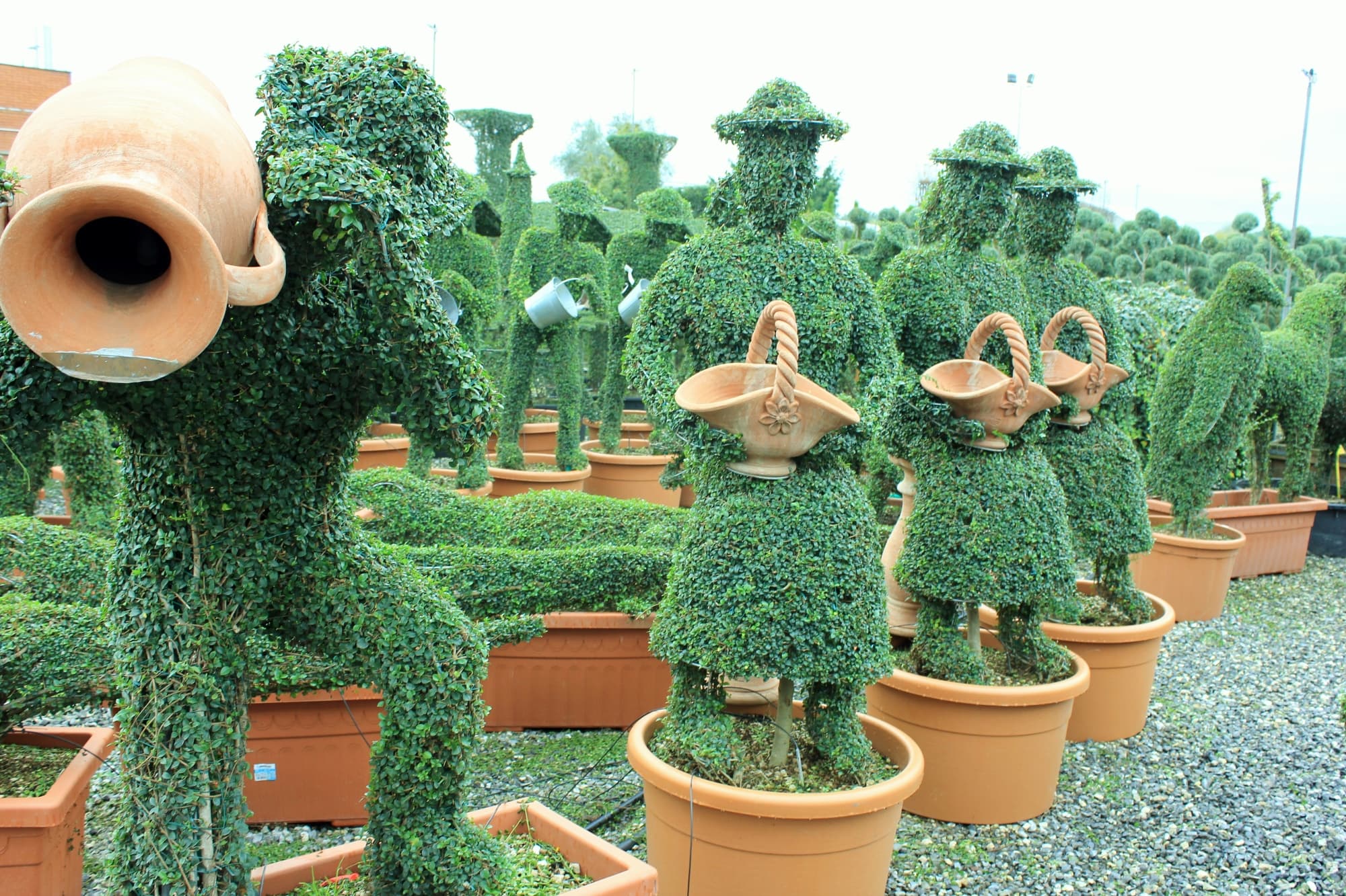 Arte topiaria a Pistoia
