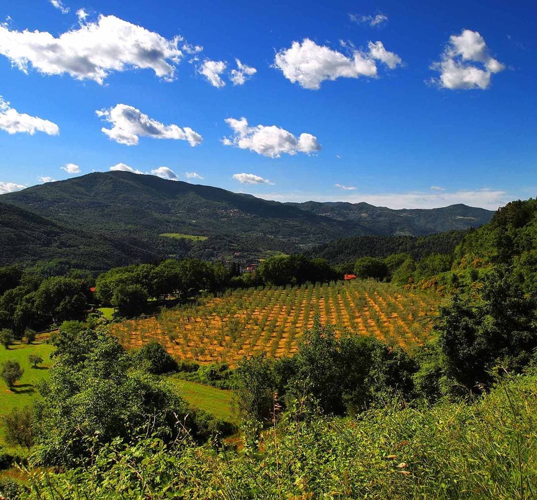 vaiano-view