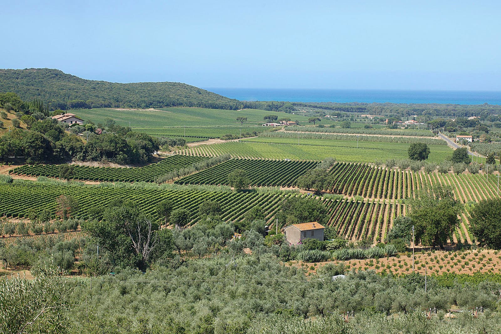 Castagneto