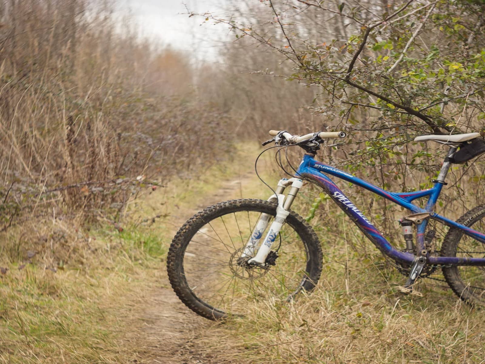 A bicycle along the route of Lake Porta
