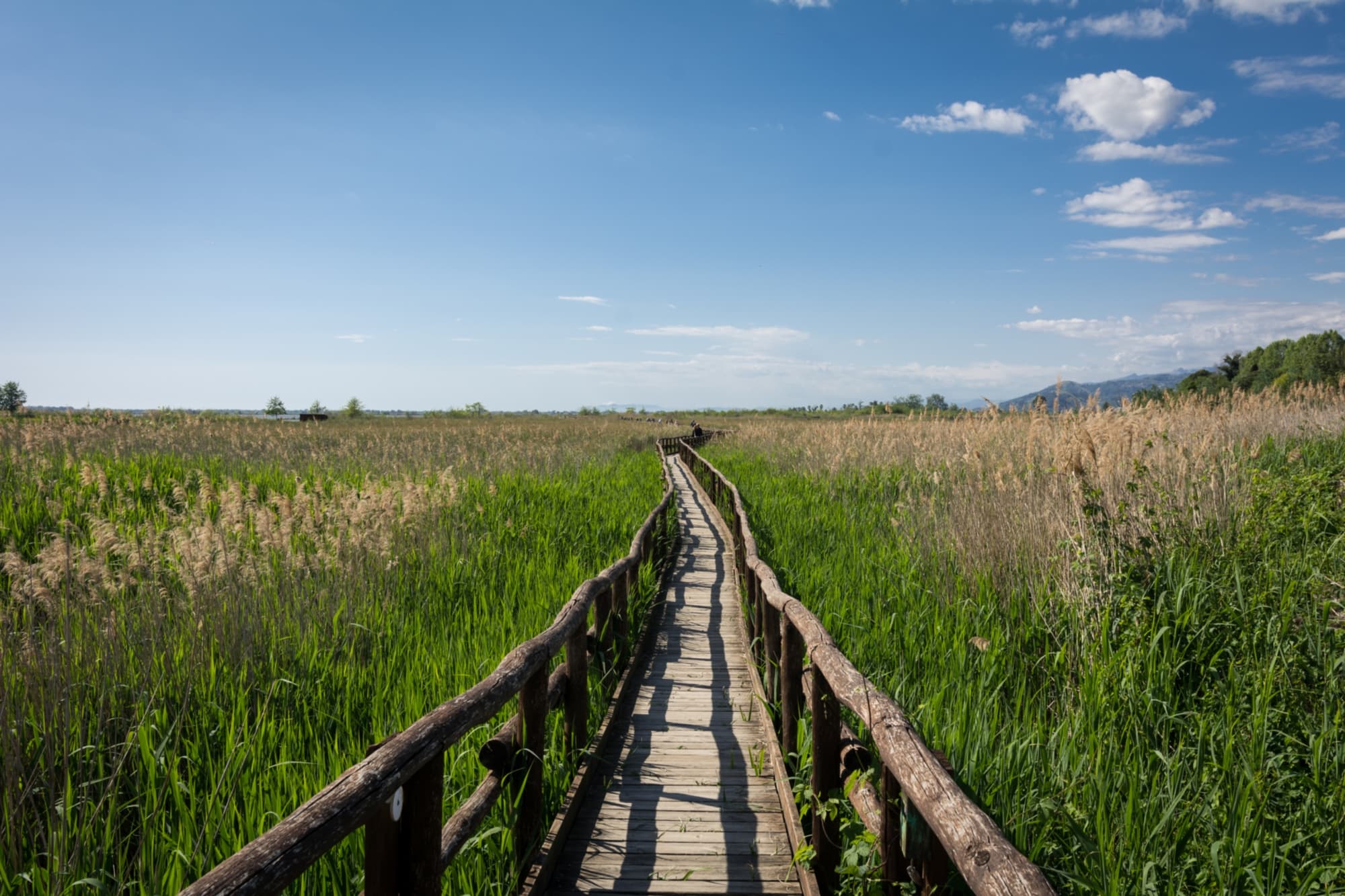 Oasi Massaciuccoli
