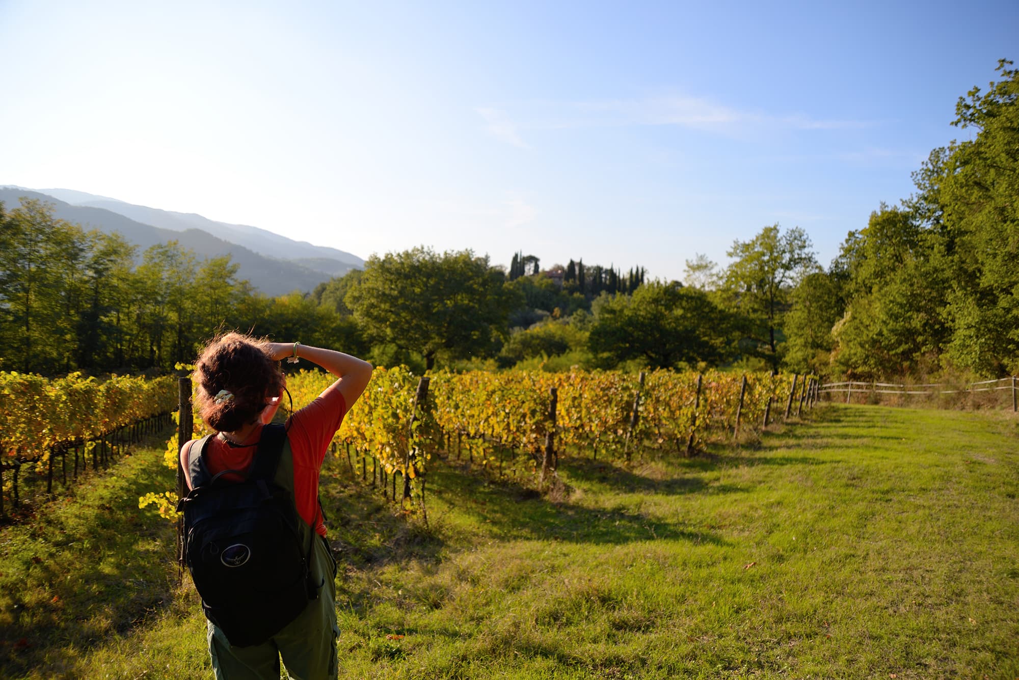Hike & wine tour in Mugello