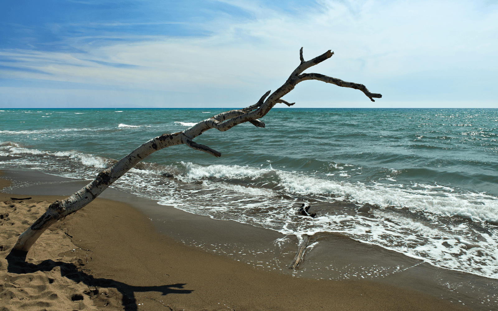 Maremma Natural Park