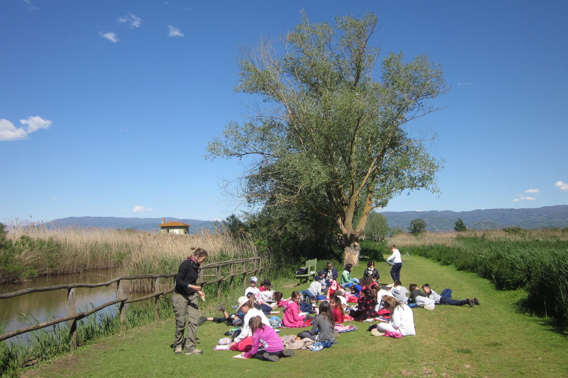 Visita al Padule di Fucecchio