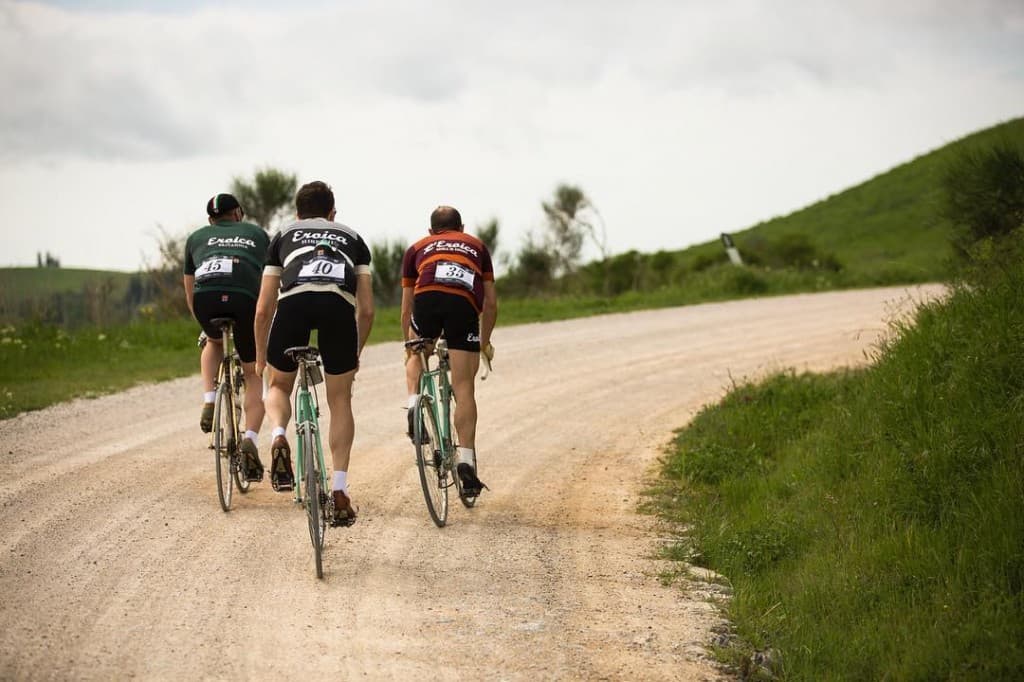 Rows, cypresses and cyclist Eroica 