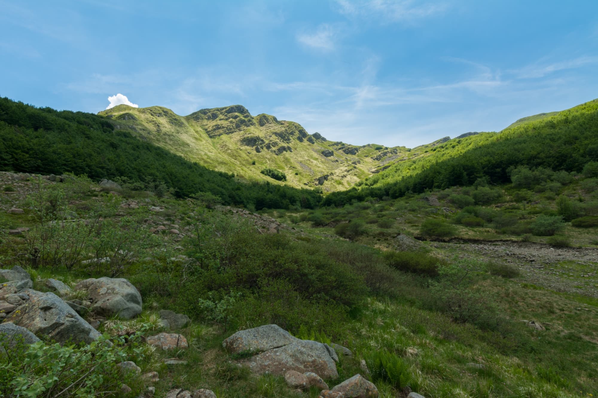 Appennino tosco-emiliano