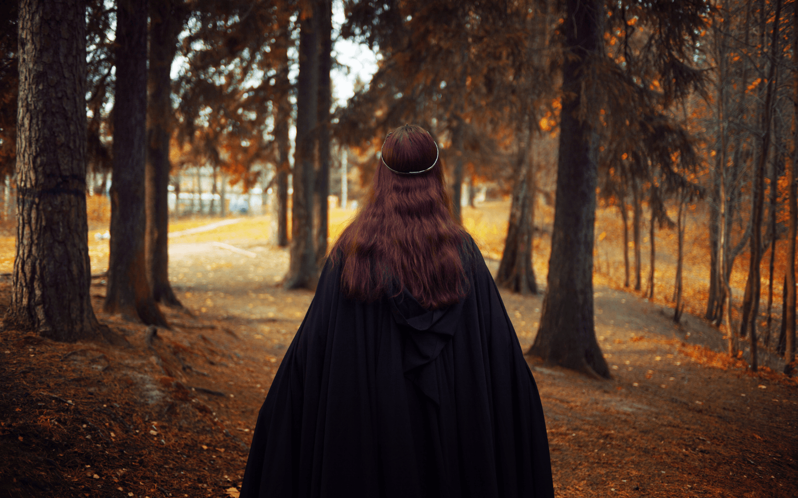 Strega nel bosco