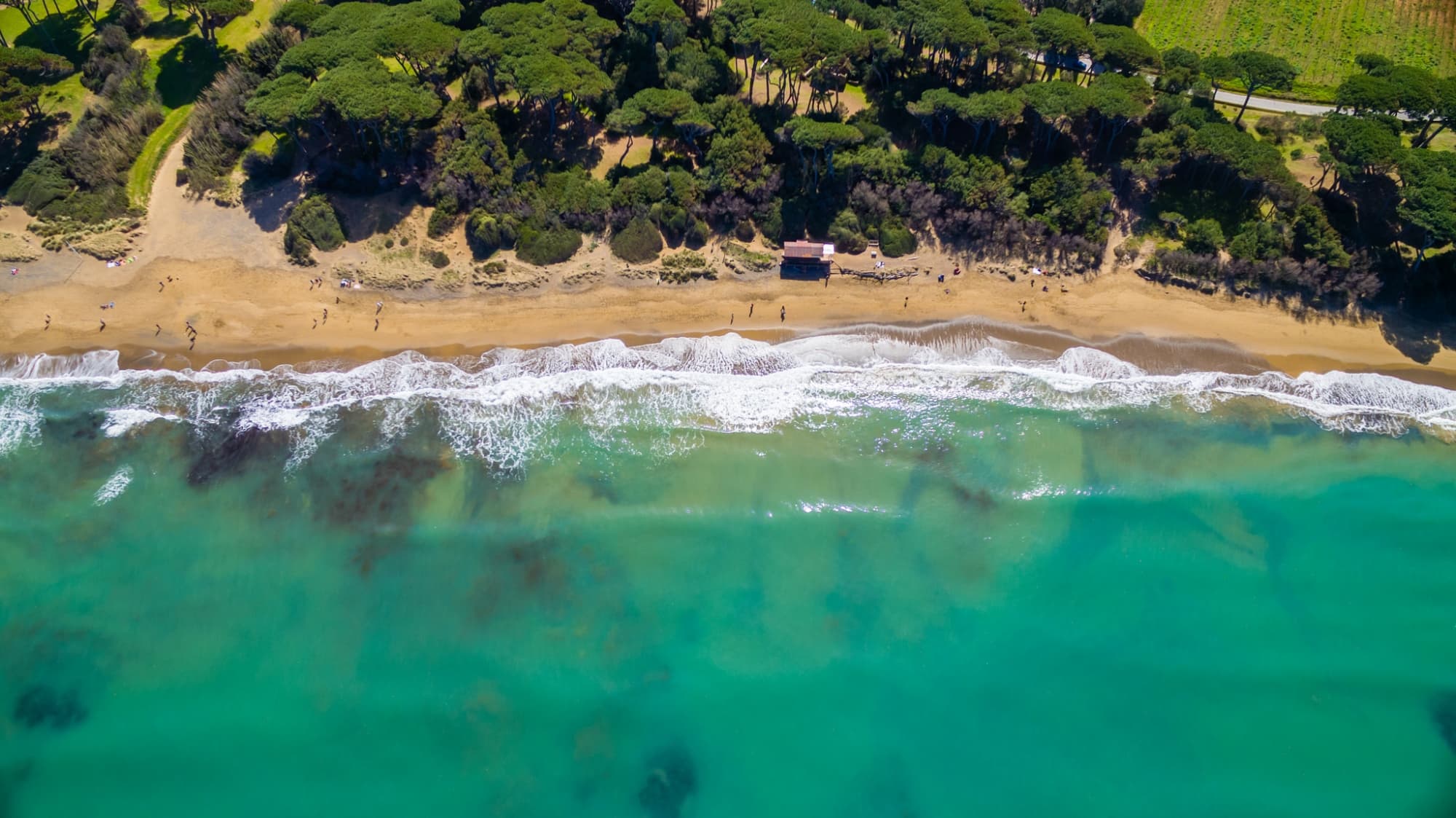 Vista aerea del Golfo di Baratti, con il mare, la spiaggia e la pineta.