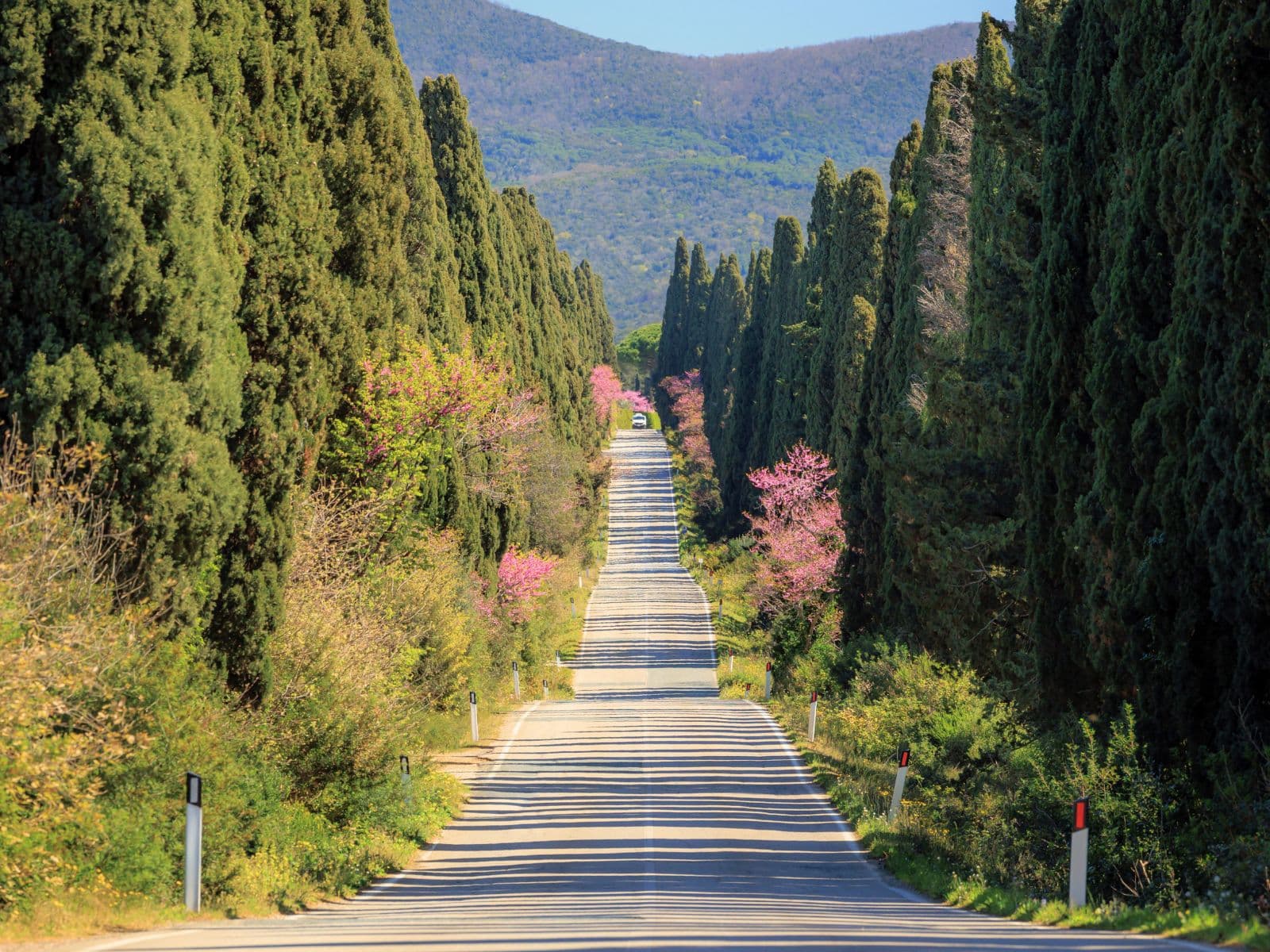 Cypress road