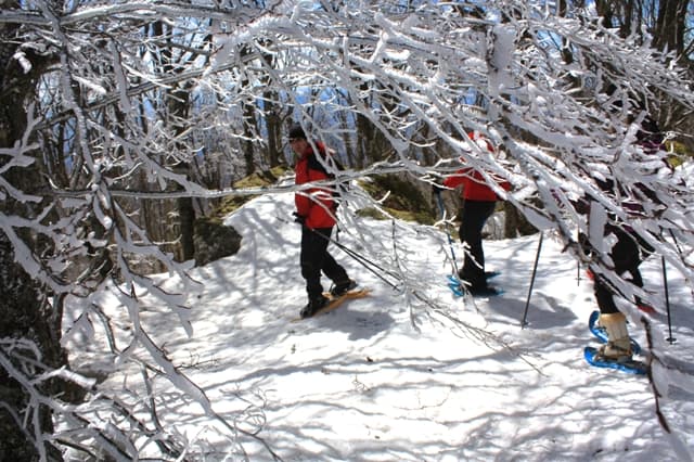 Schneeschuhwandern in den Wäldern des Monte Amiata