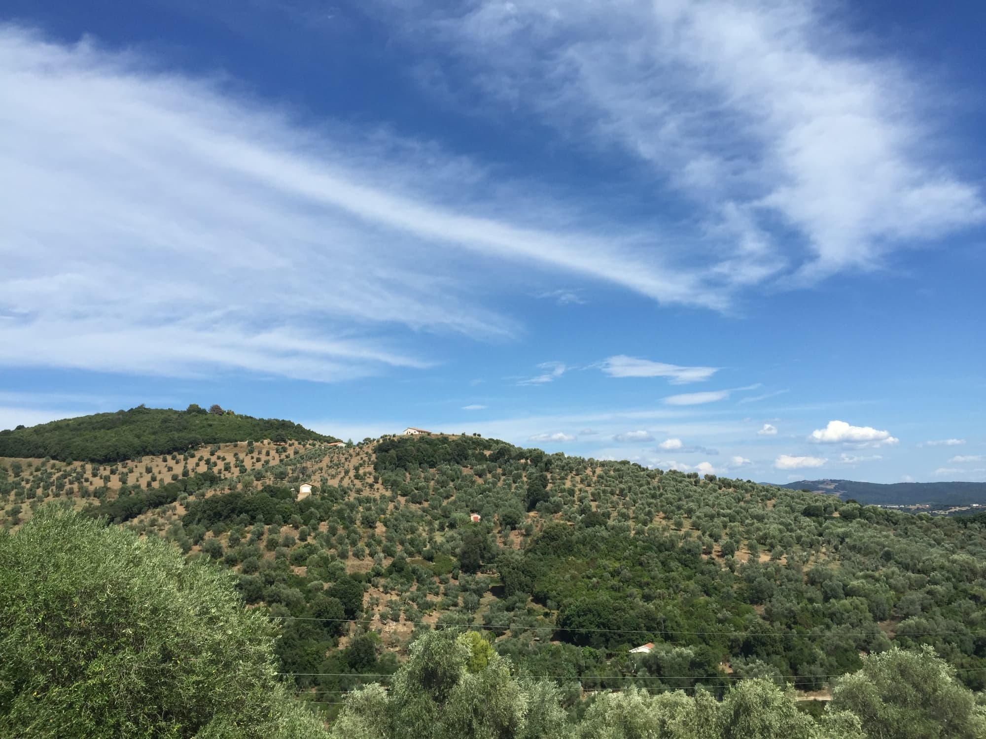 Suvereto