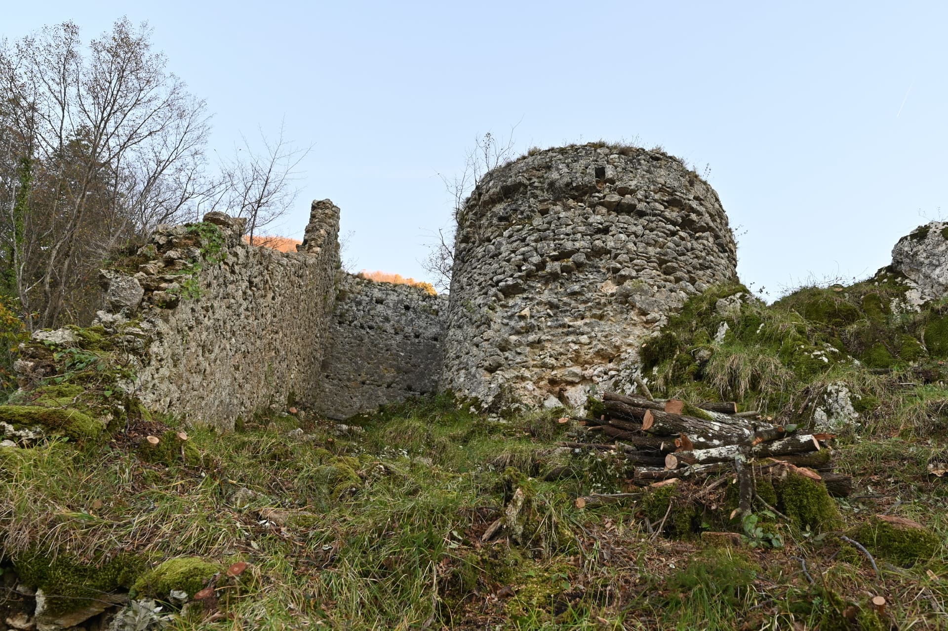 dsc_8397.jpg