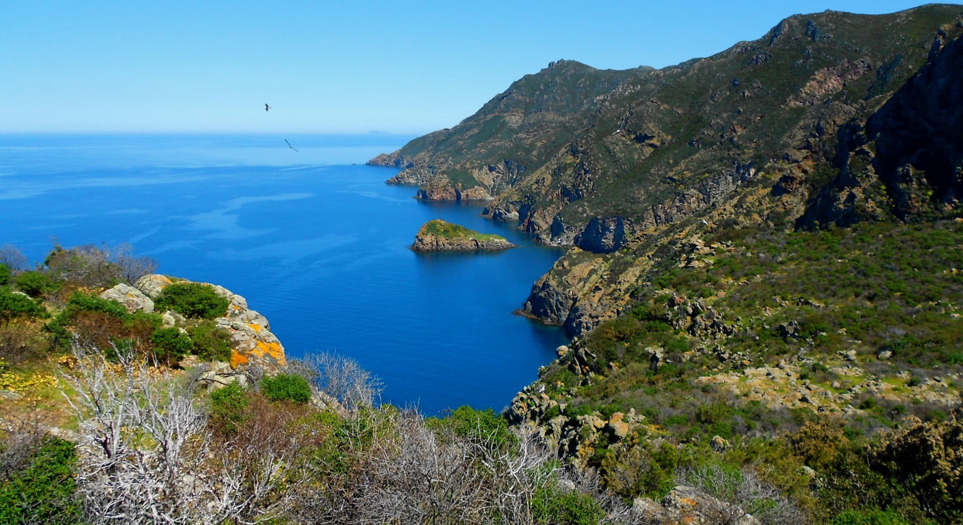 Die Insel Capraia