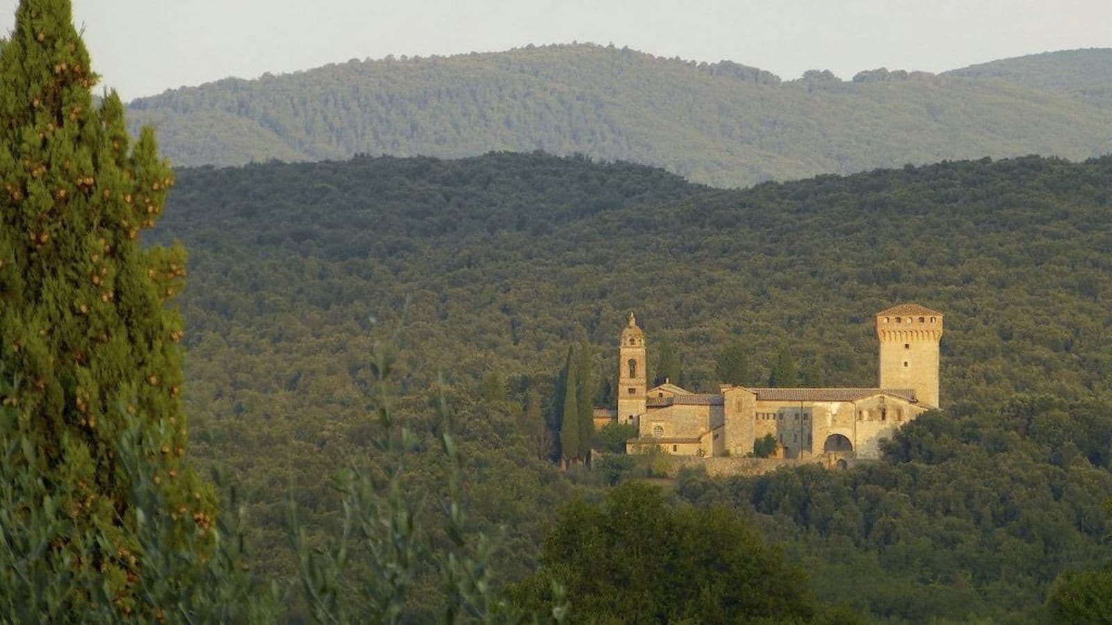 Vista de Lecceto
