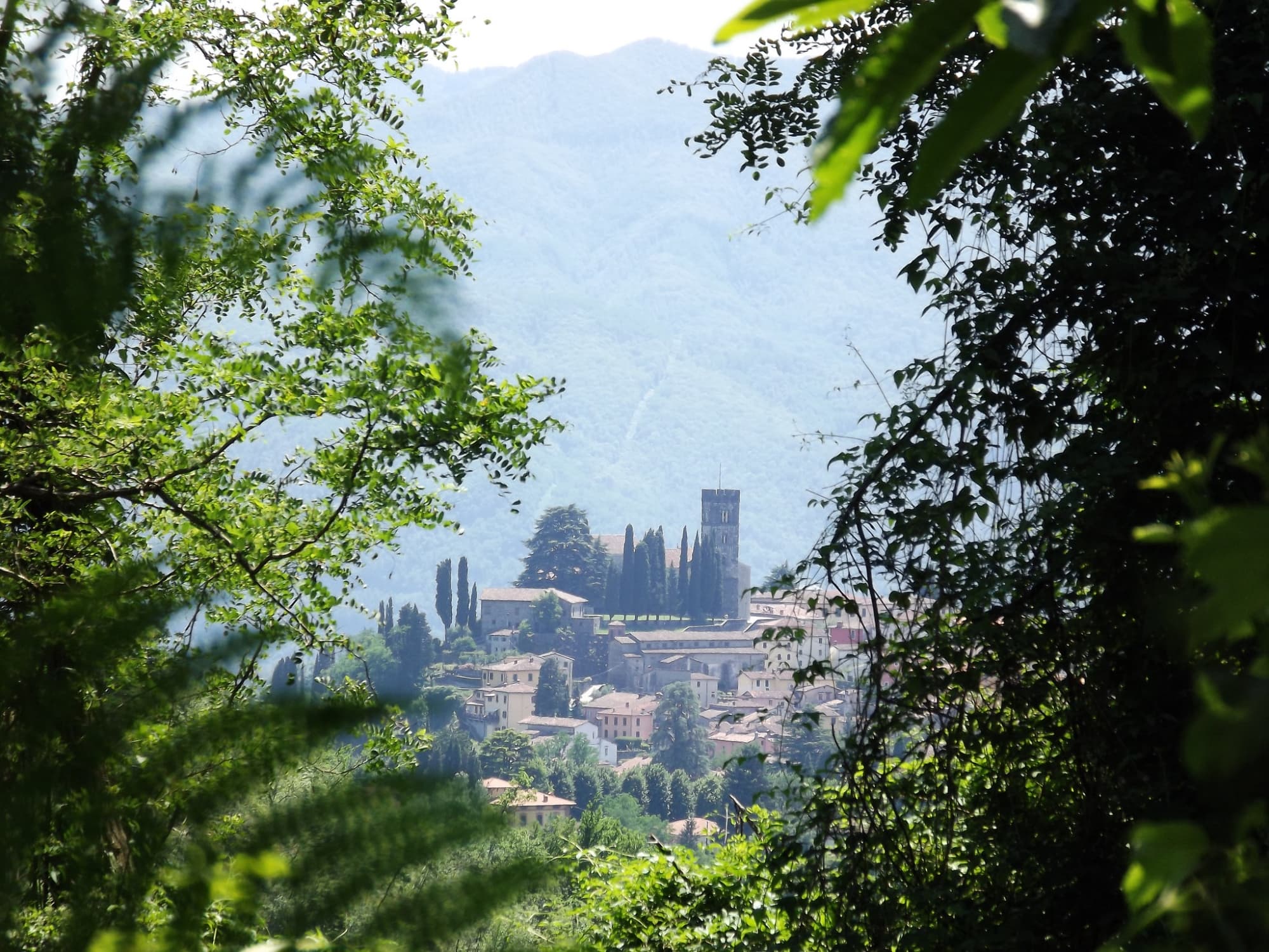 barga-tra-gli-alberi