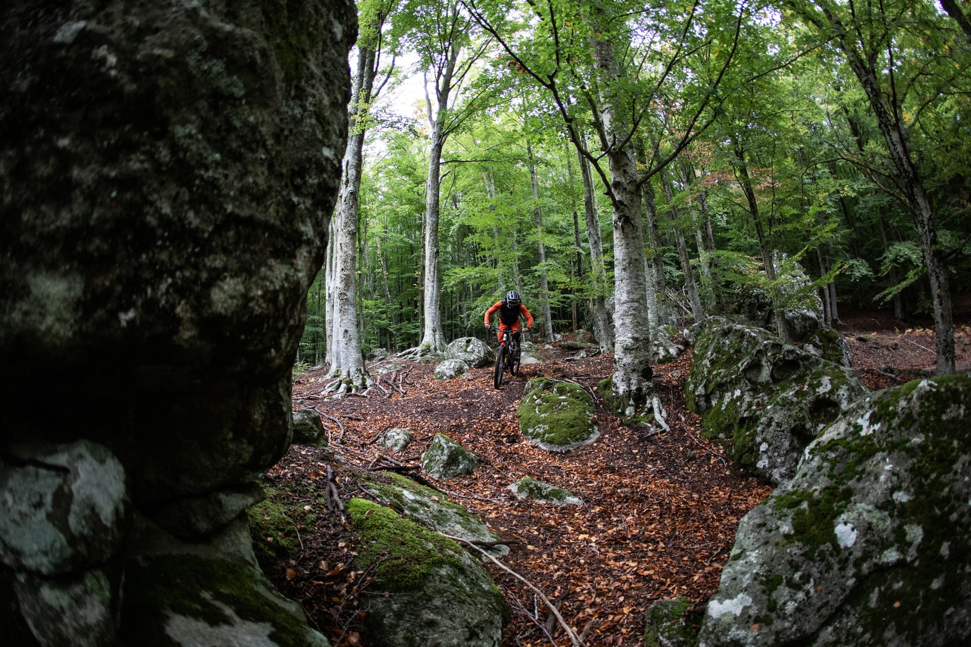 Amiata
