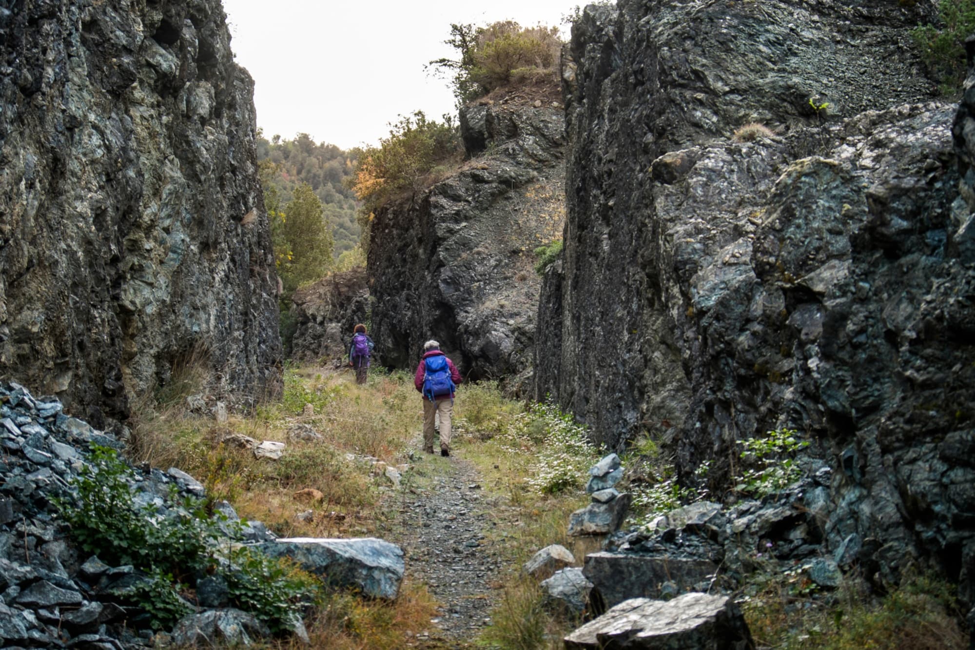 Montecatini, Riserva Naturale di Monterufoli
