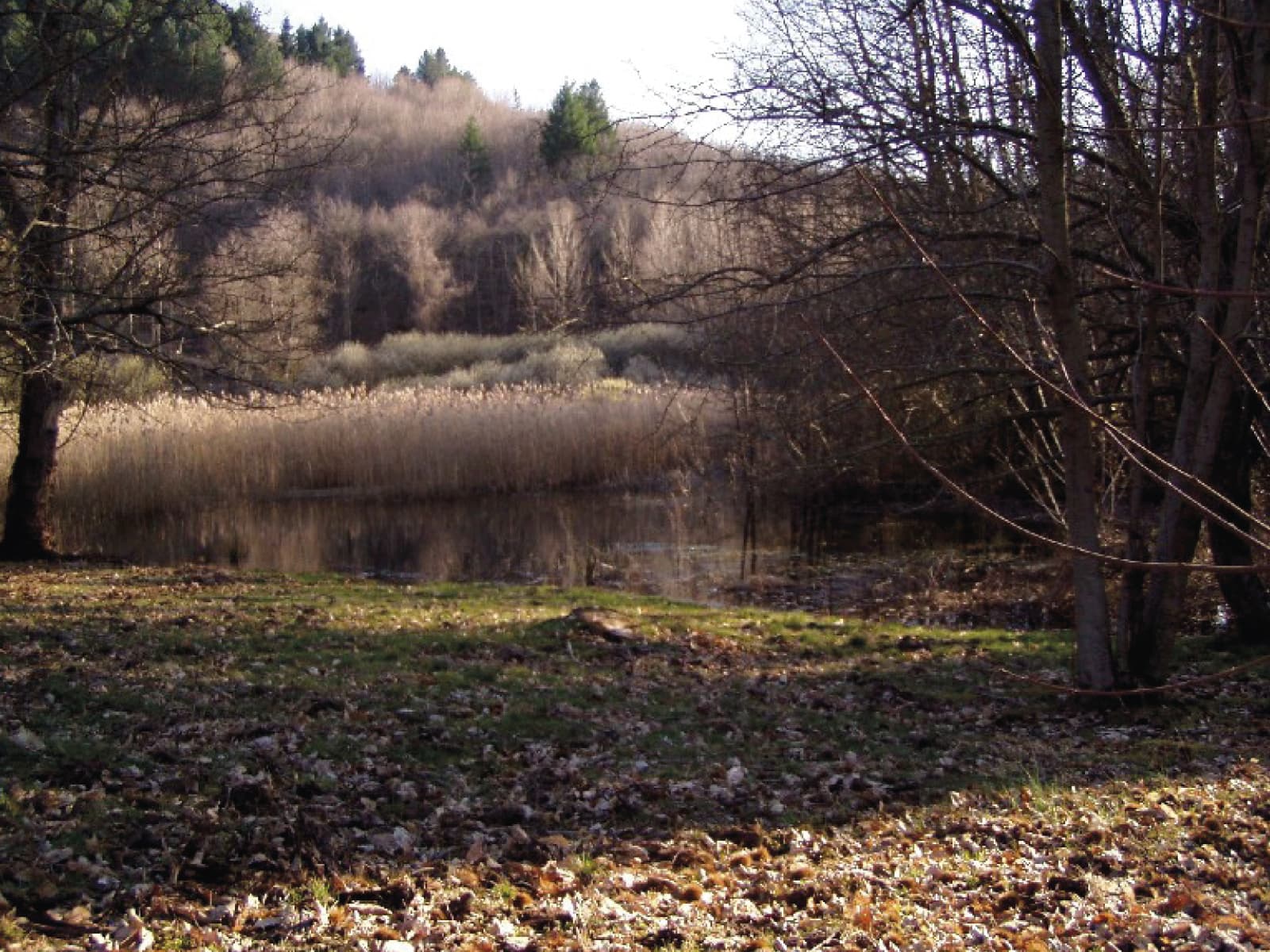 Il lago di Montieri
