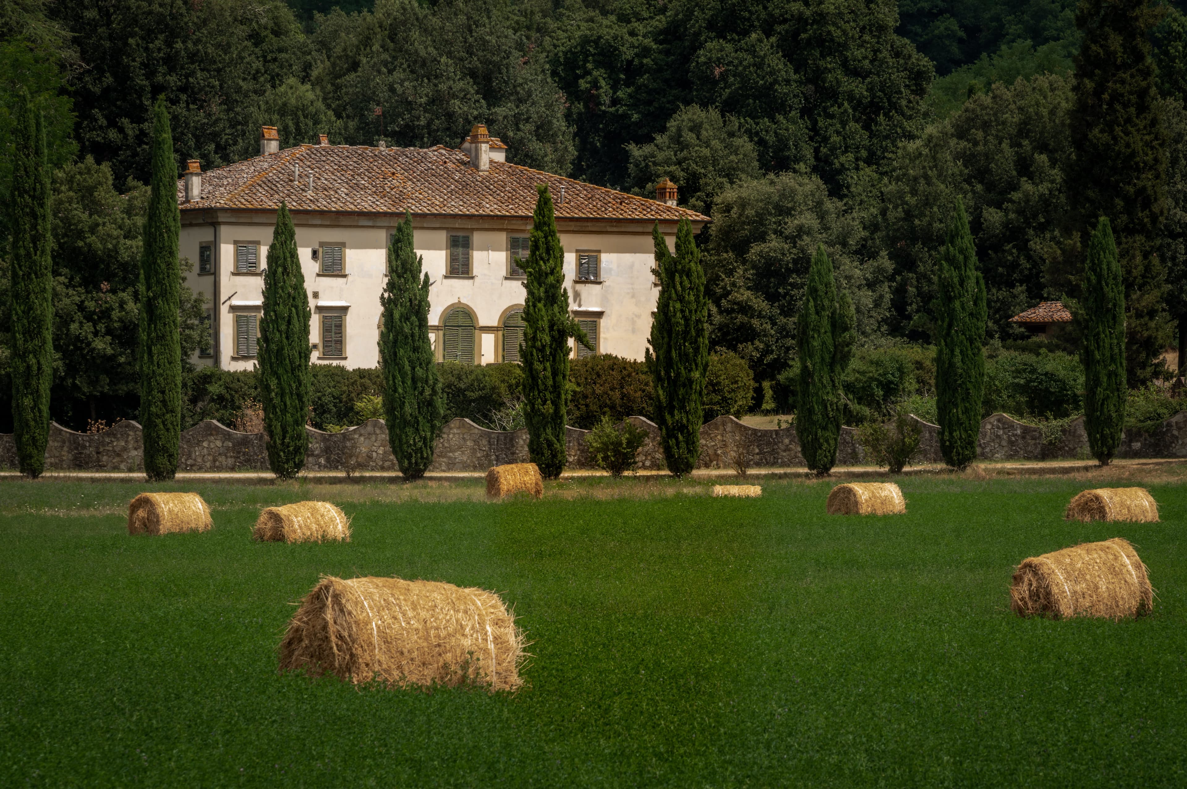 Finca situada cerca de Laterina, con una villa rodeada de cipreses y campos