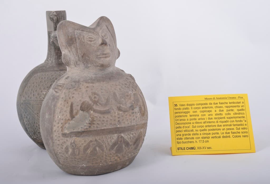 Das Museo di Anatomia Umana von Pisa, die archäologische Abteilung