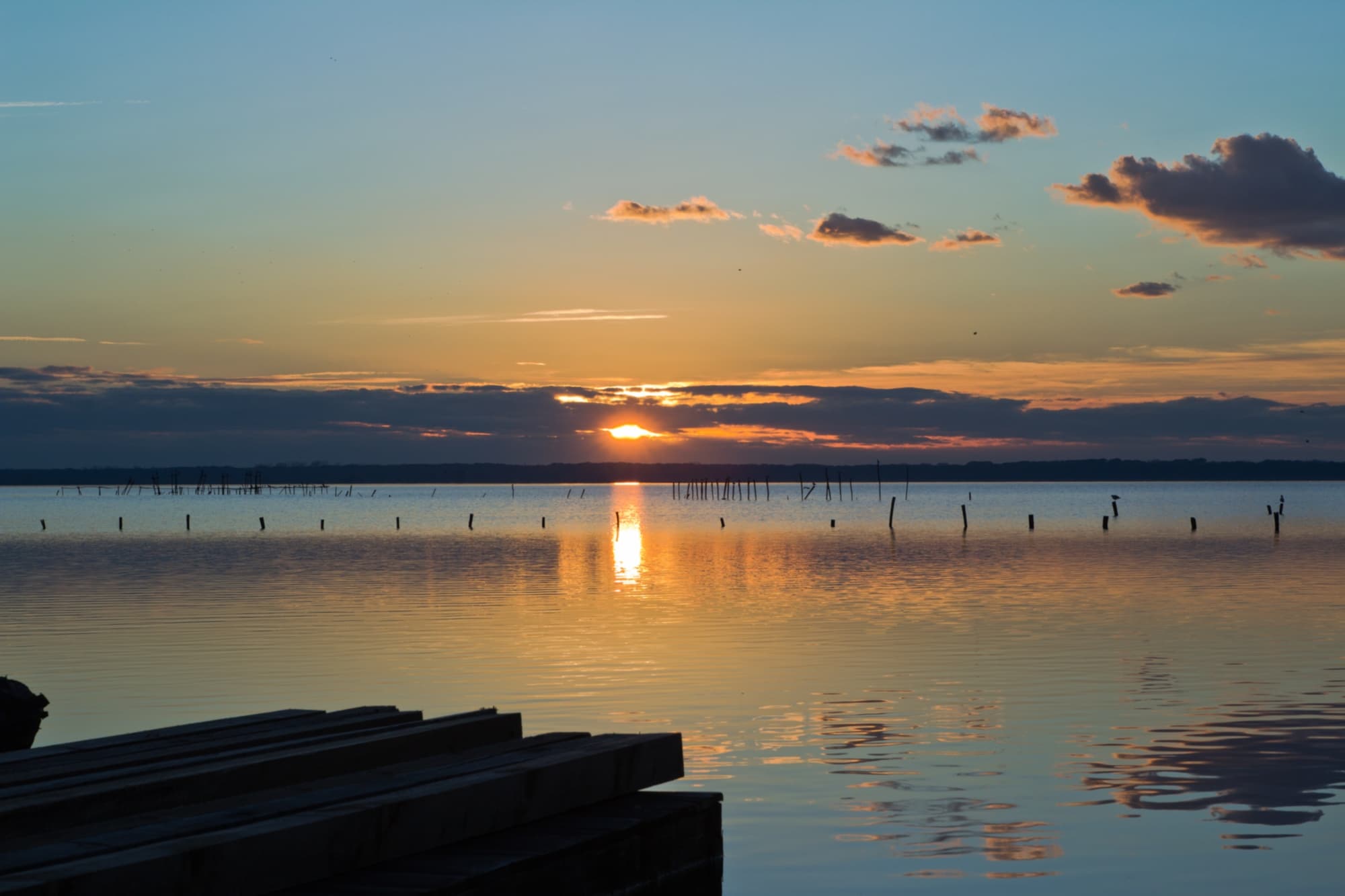 Lago di Massaciuccoli