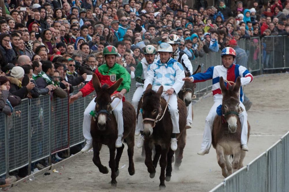 Palio dei somari di Torrita di Siena