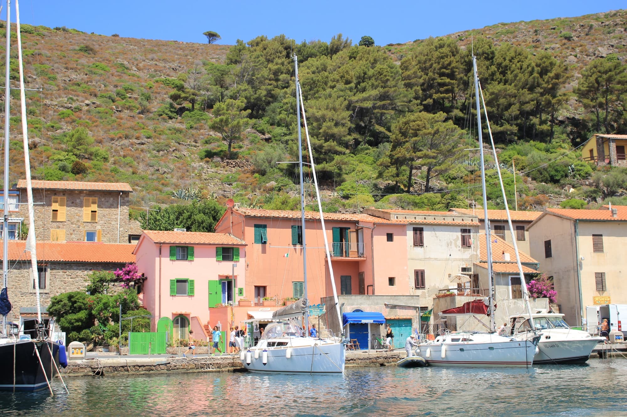 Le uve dell'Arcipelago Toscano