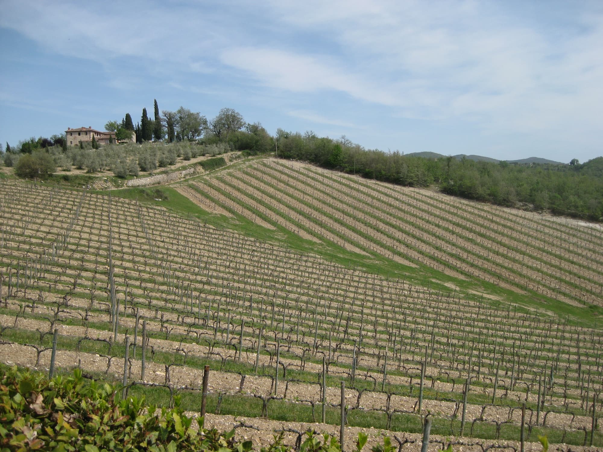 Colline intorno al Castello di Meleto