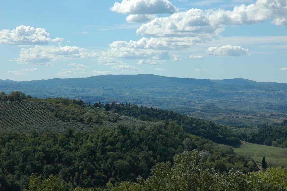 Strada dei sapori della Val di Merse