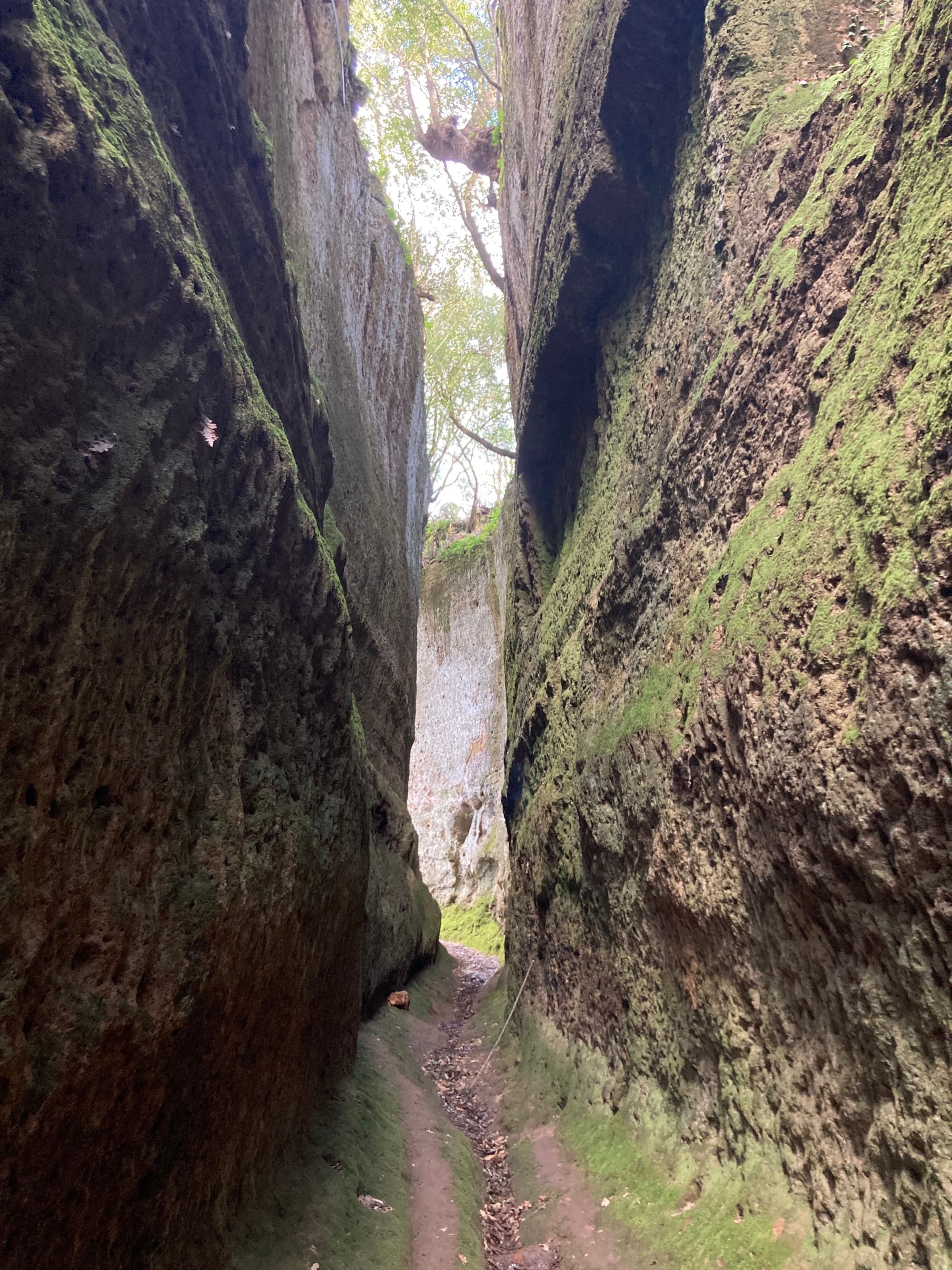 Archeotrekking per le Vie Cave di Pitigliano e Sovana con degustazione di vino vulcanico