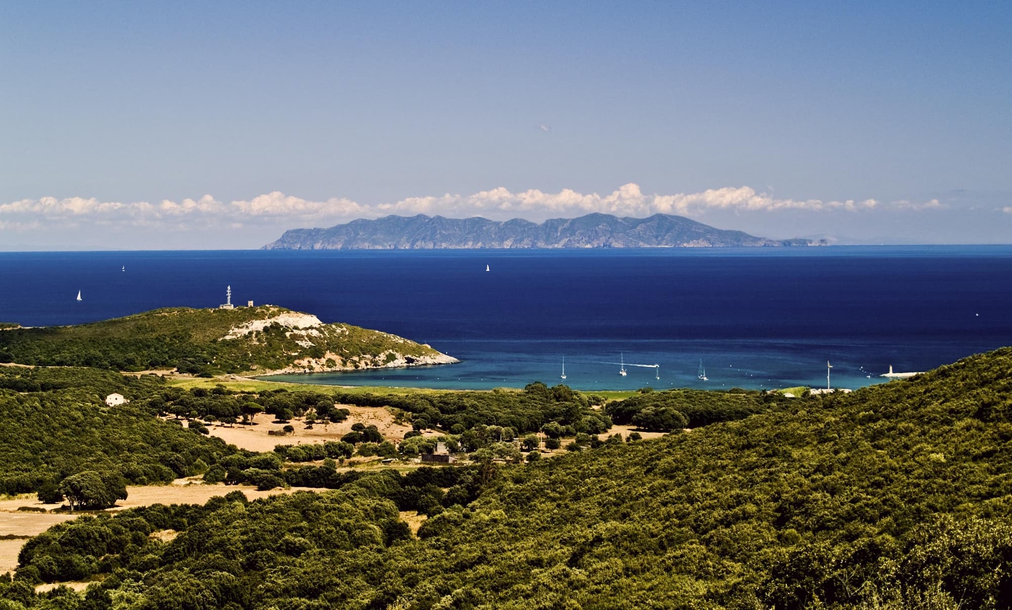 Capraia 1