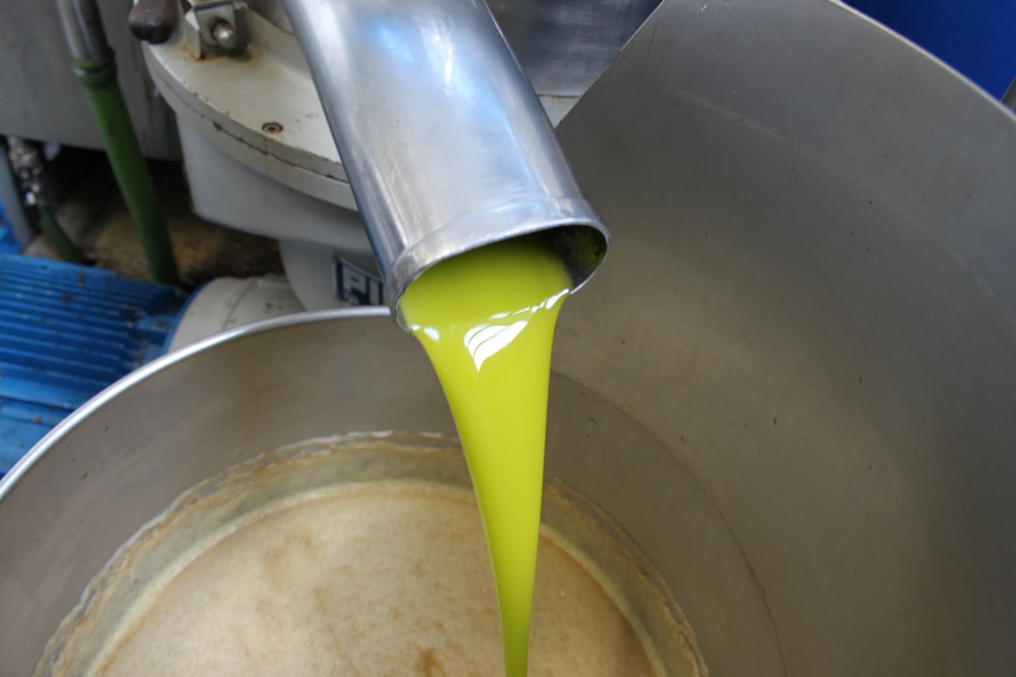 extra-virgin-olive-oil